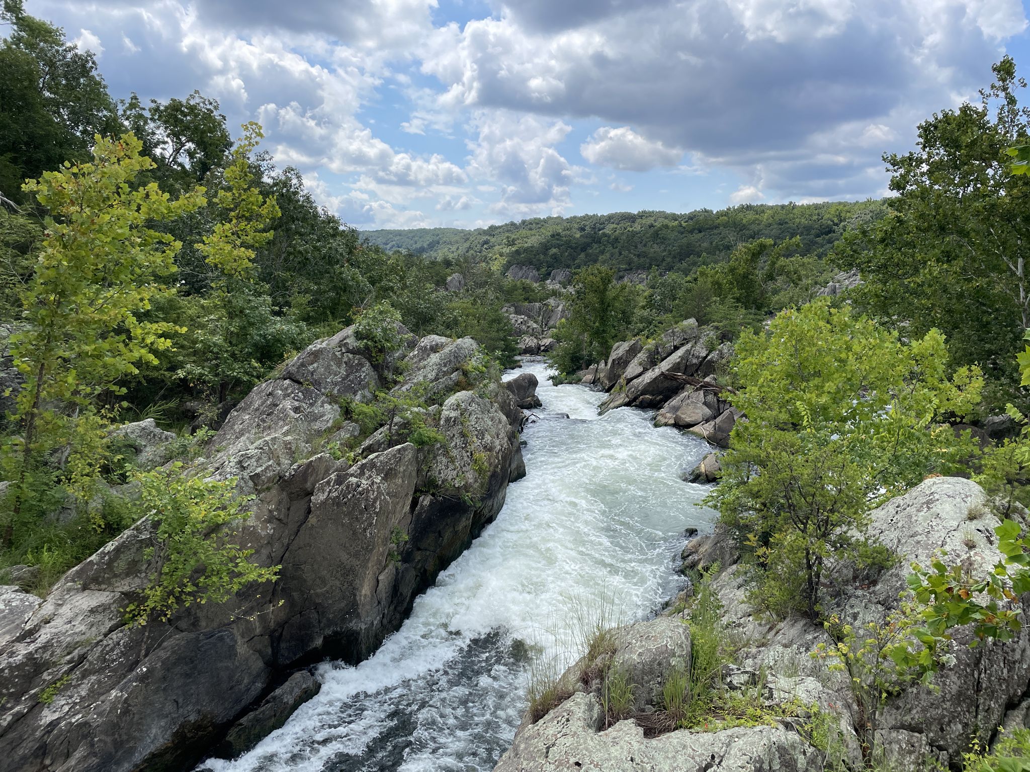 Rushing river rapids flow through a rocky, tree-lined gorge on a cloudy day. - Swains Lock – Great Falls Overlook loop from Watts Branch