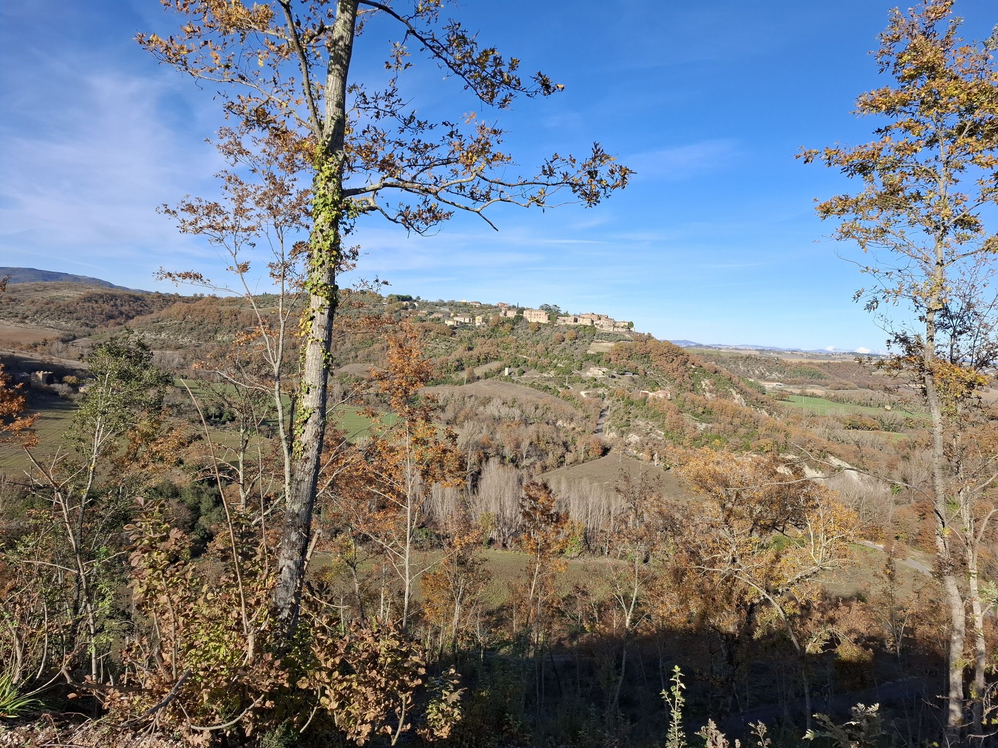 poggio acquilone