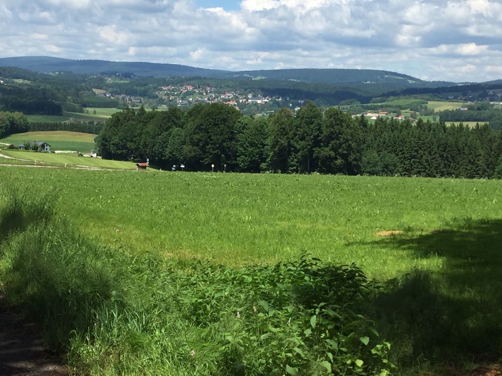 Naturpark Bayerischer Wald