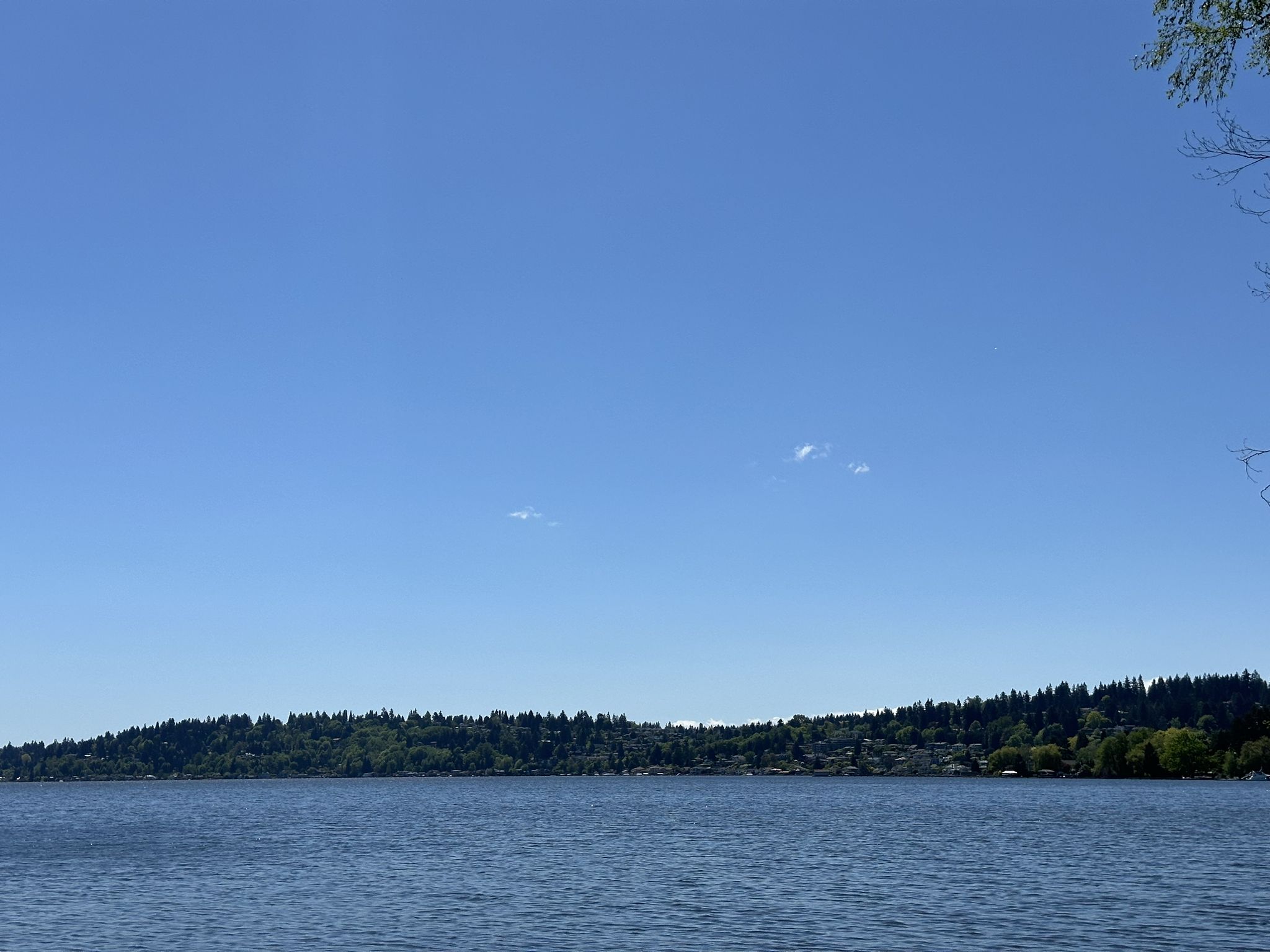 Wide lake with a distant treed shoreline under a clear blue sky. - Gas Works Park – Fremont Bridge loop from Edmonds