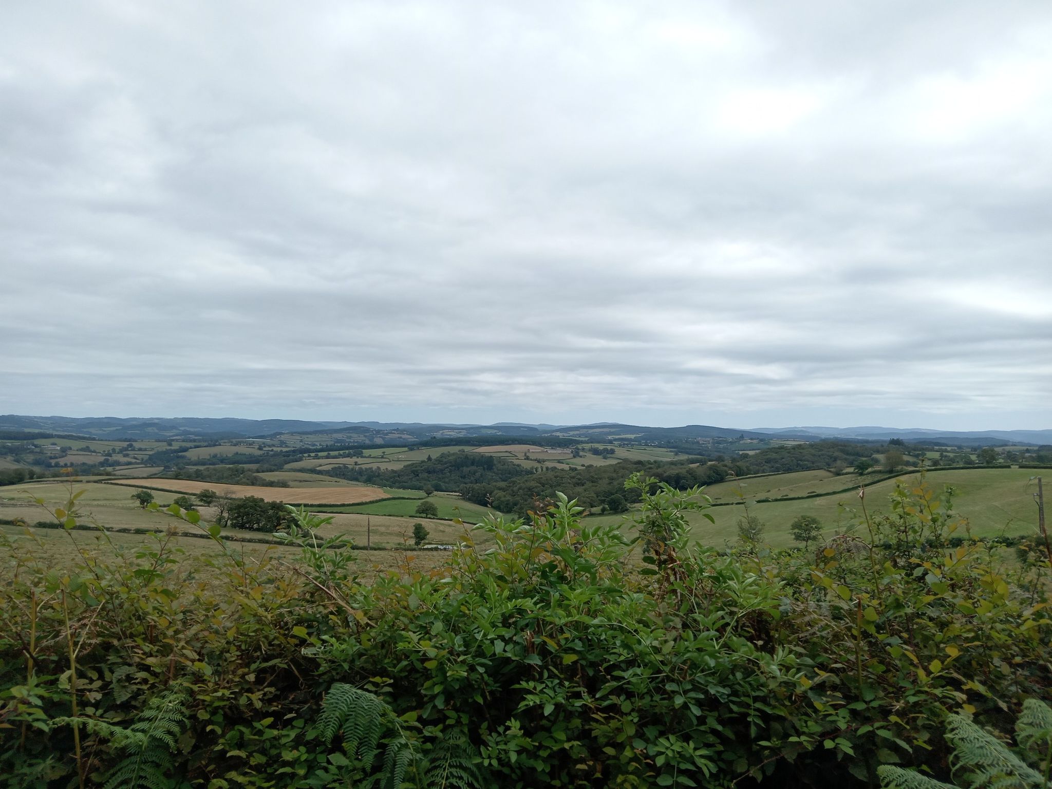 Après l'effort the view
