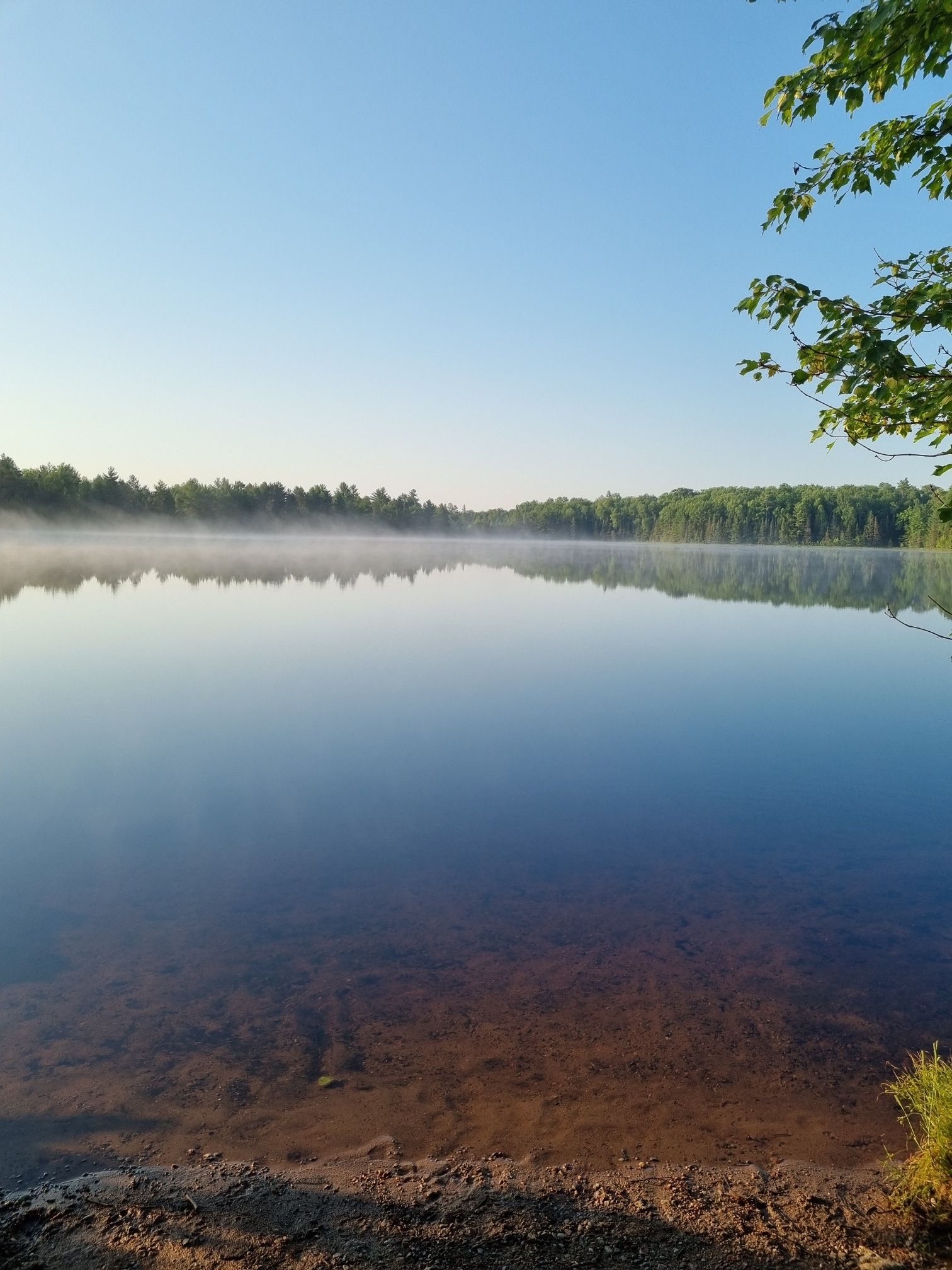 Shannon Lake
