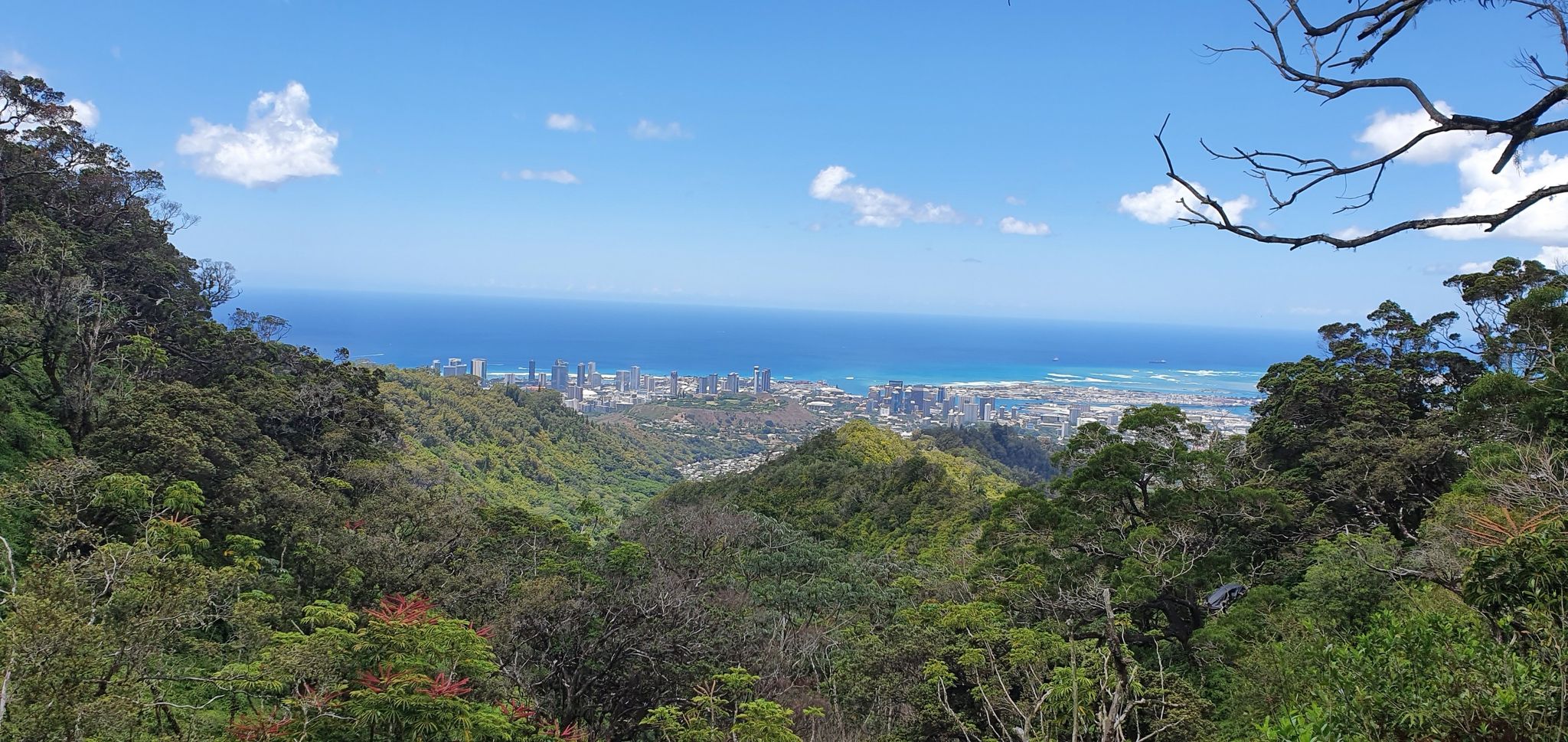 Honolulu and Punchbowl