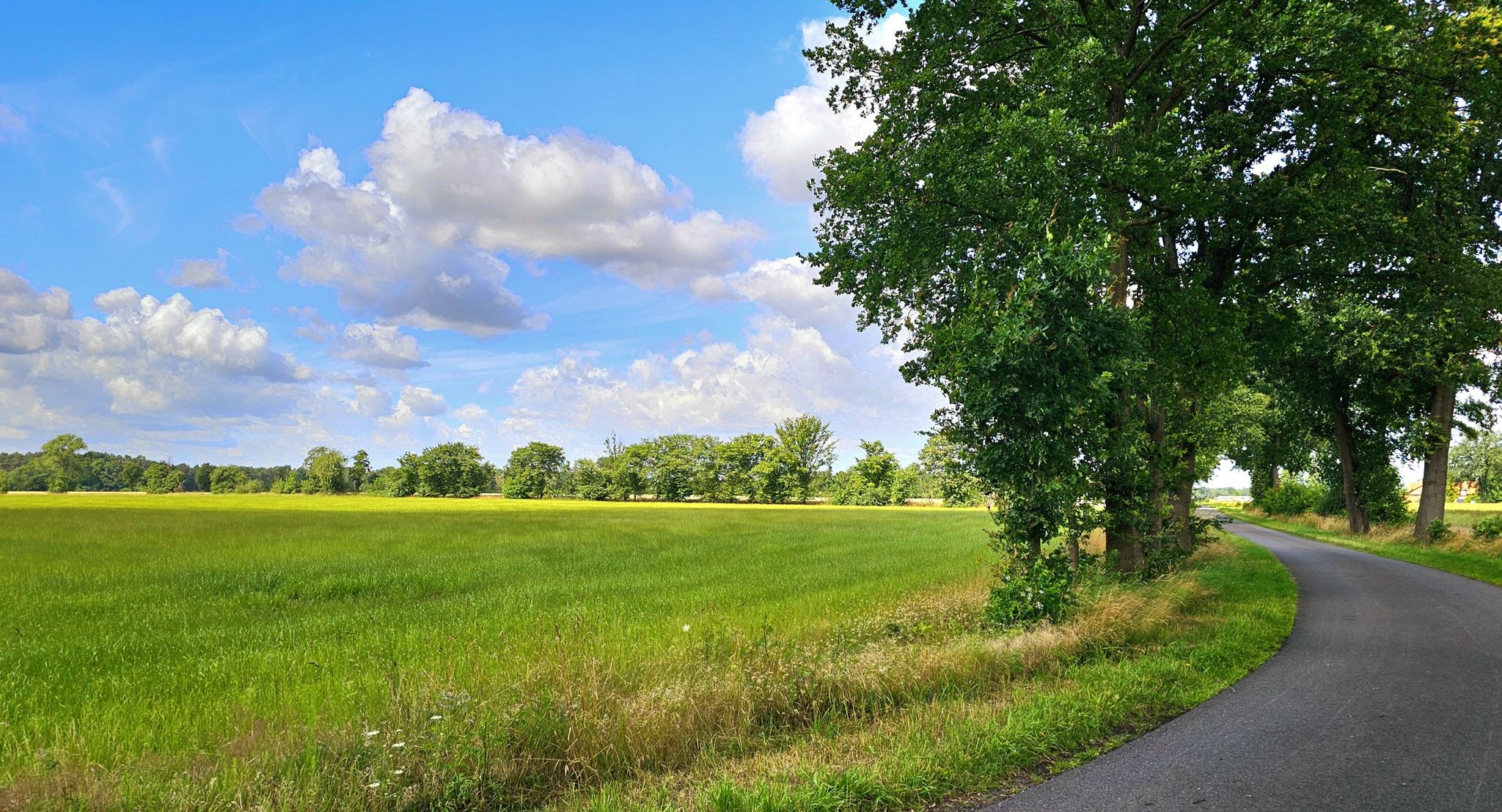 Vom Ausgangspunkt Lindwedel über den Meißeweg Richtung Lust