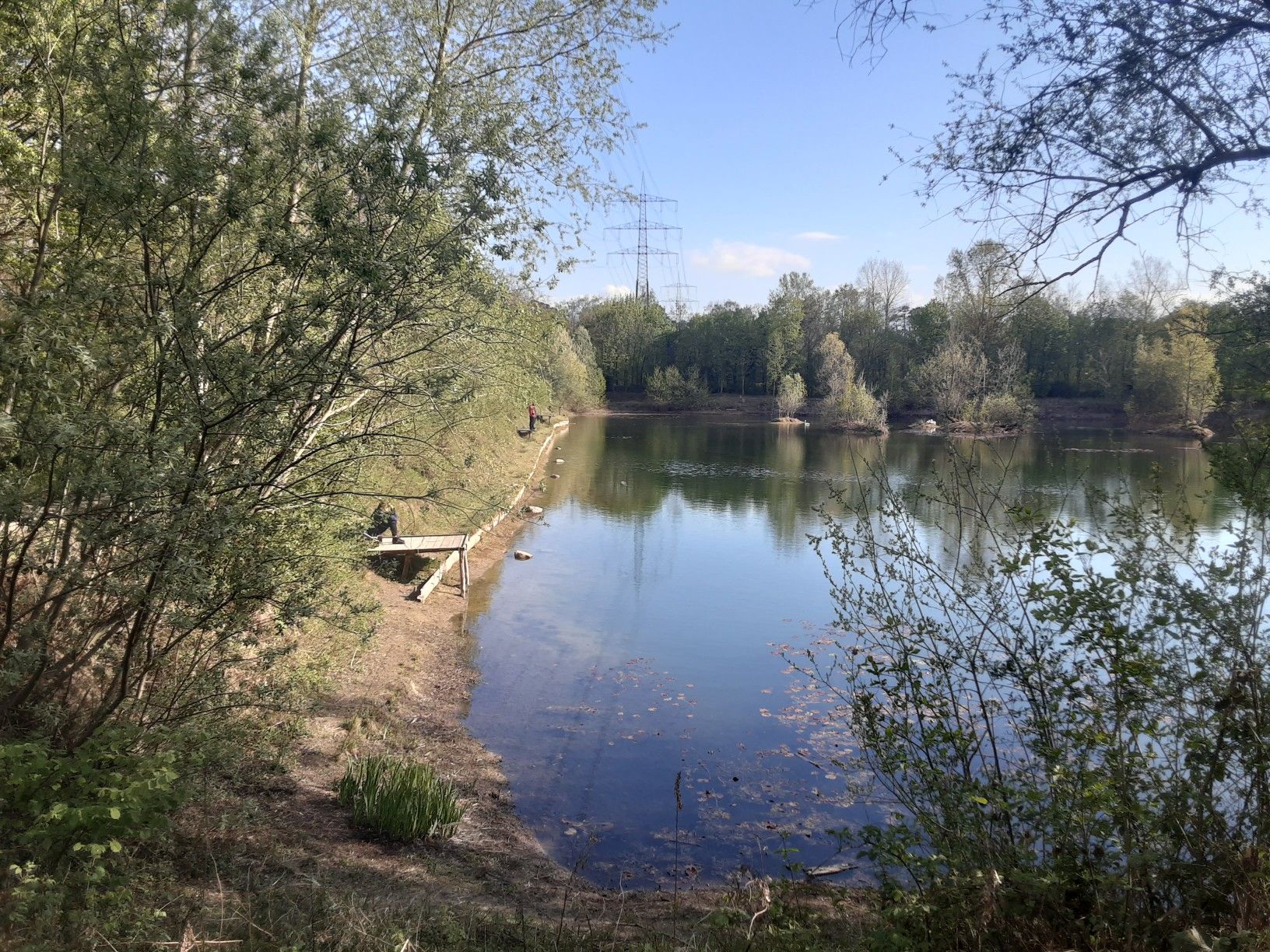 Teich am braunshardter tännchen