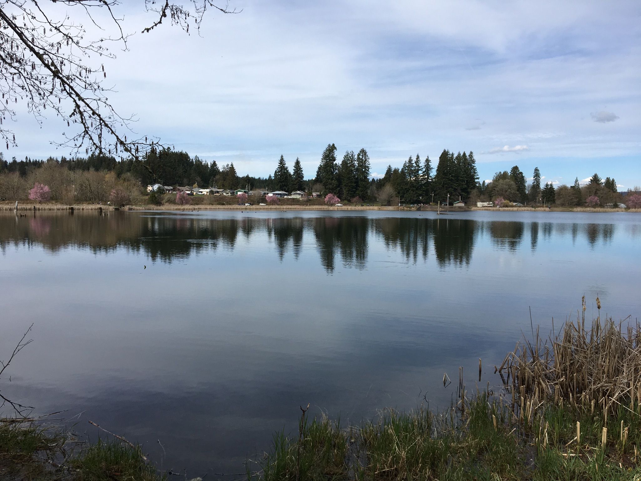 Lake Vernonia where you can watch the fish jump while having lunch. 