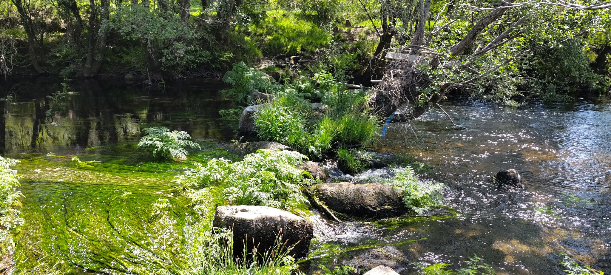 Kleiner Wasserfall