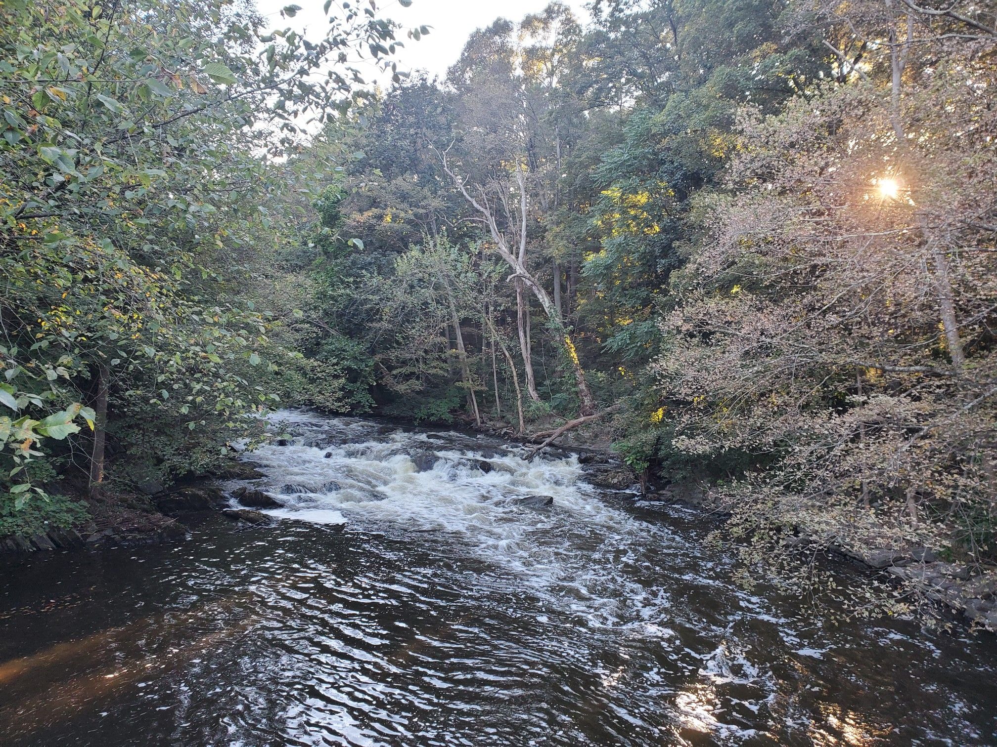 Harrybrooke Park