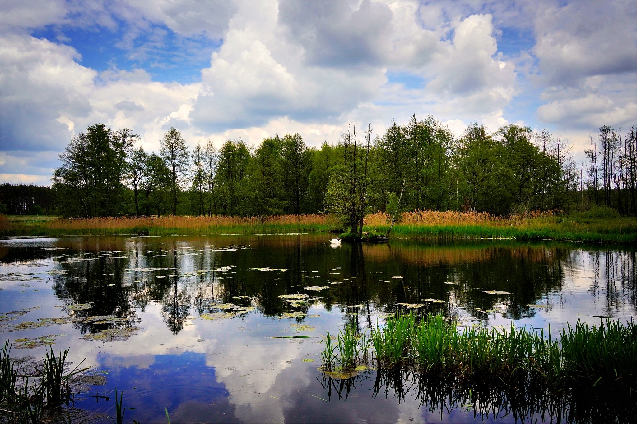 welch eine Idylle!