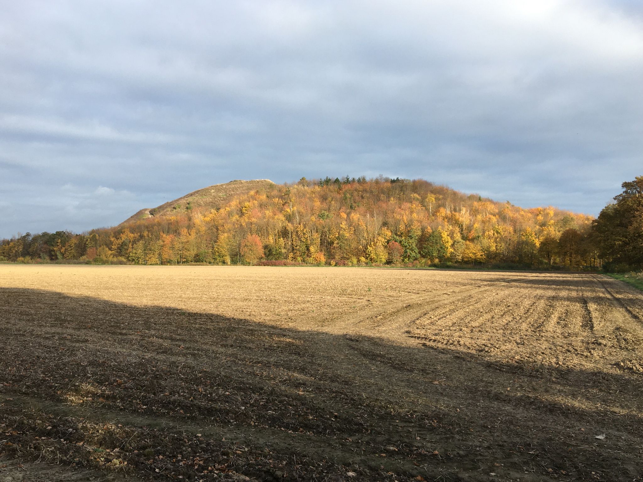 Der Waldberg, ehemals Empelder Kalihalde (Dezentrales Expo-Projekt)