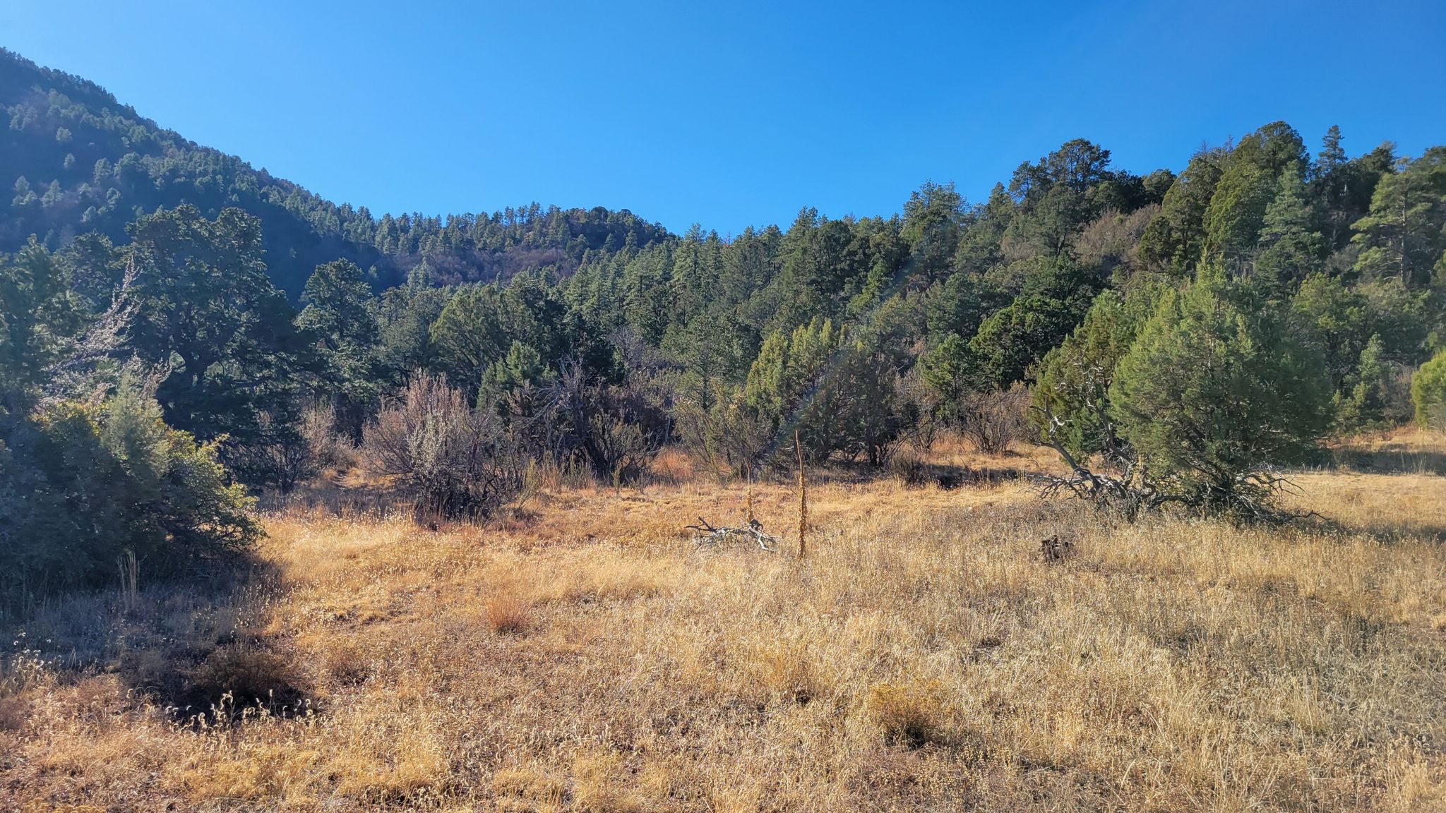 Dry grassy field with scattered trees and distant forested hills under clear sky. - Bug Hollow Trail #548