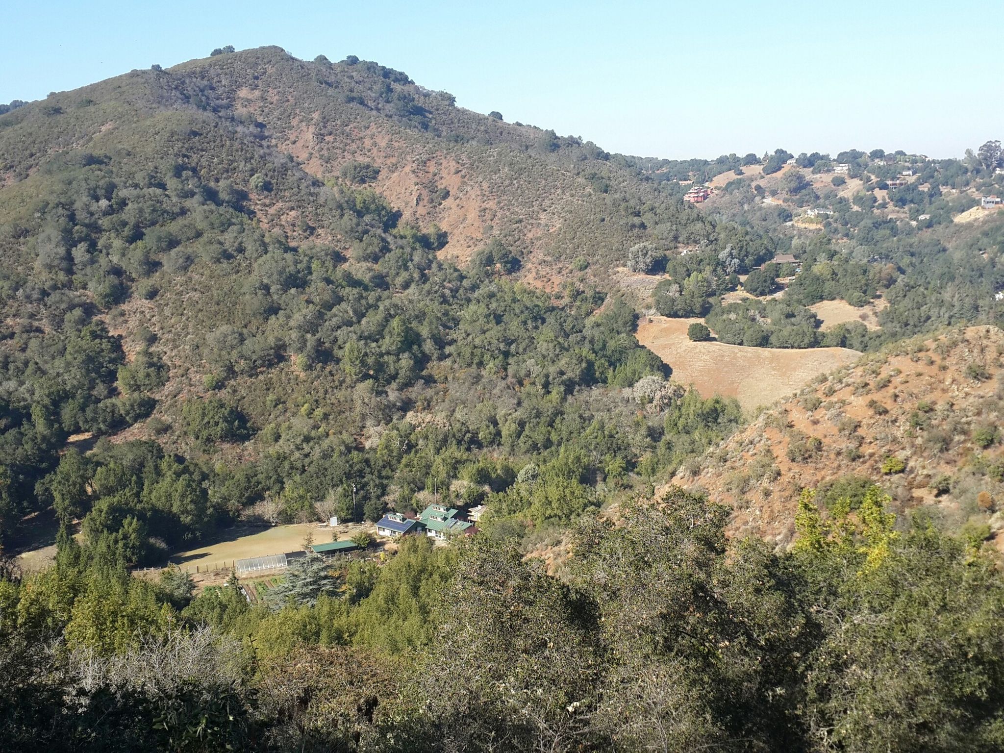 Aerial view of a green valley with scattered trees and a few buildings. Sunny. - Hostel Trail – Creek Trail loop from Hidden Villa