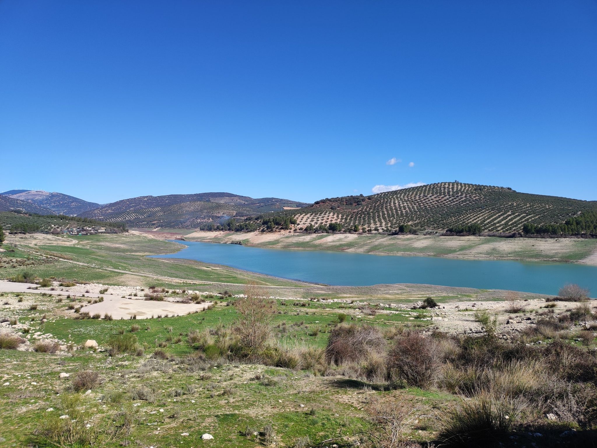 Pantano