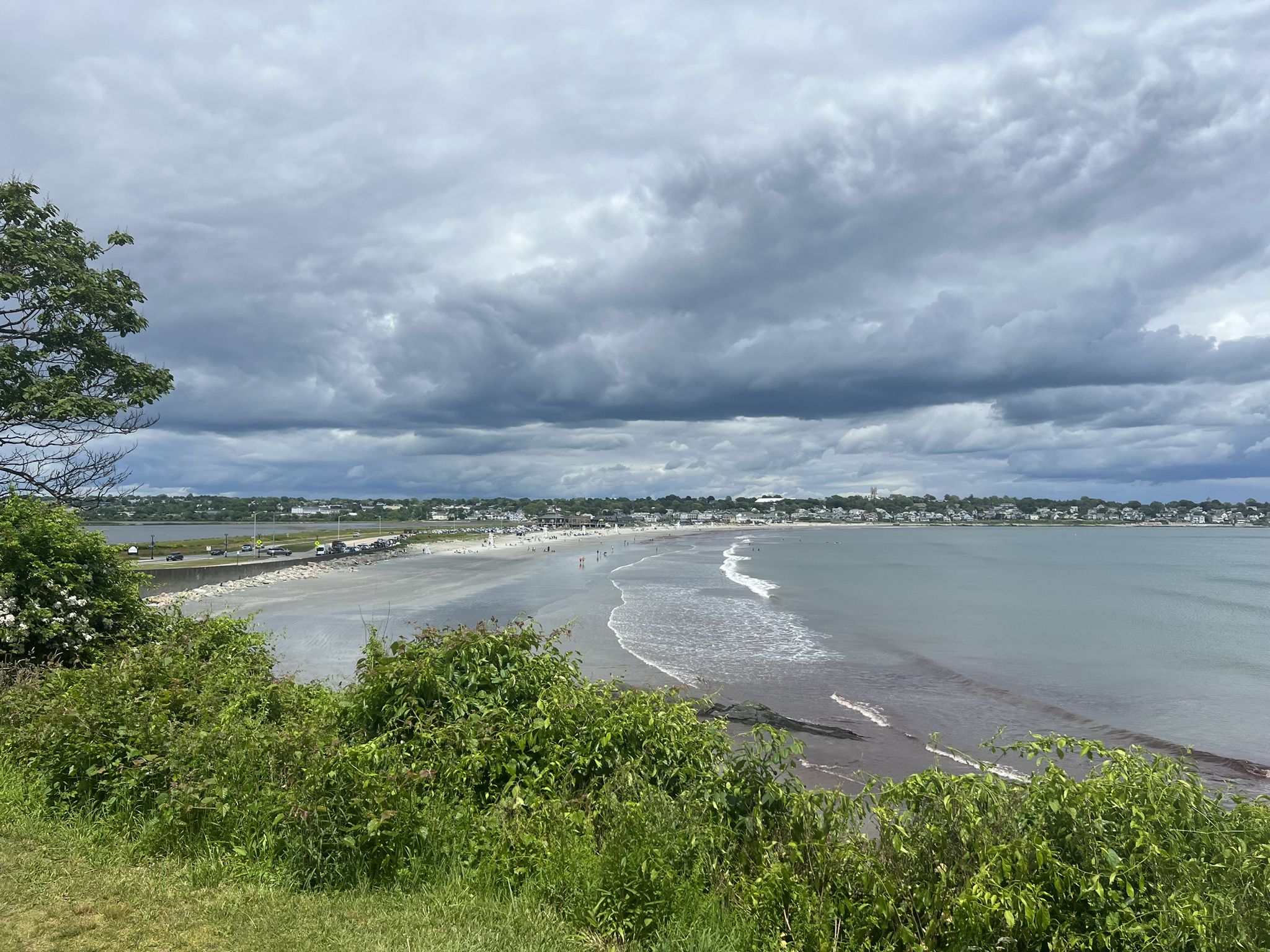 Expansive beach and ocean view from above, with green bushes. - Start of Newport Cliff Walk – Forty Steps loop from Newport