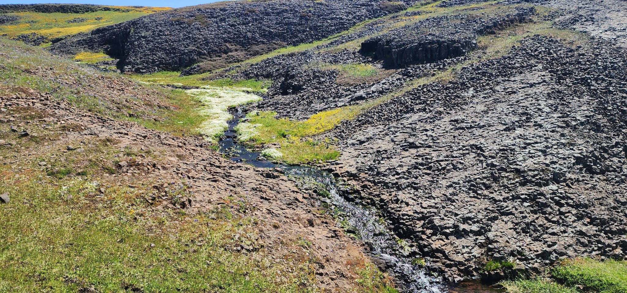 Small stream flows through rocky, green, and yellow hillsides on a sunny day. - Phantom Falls Trail