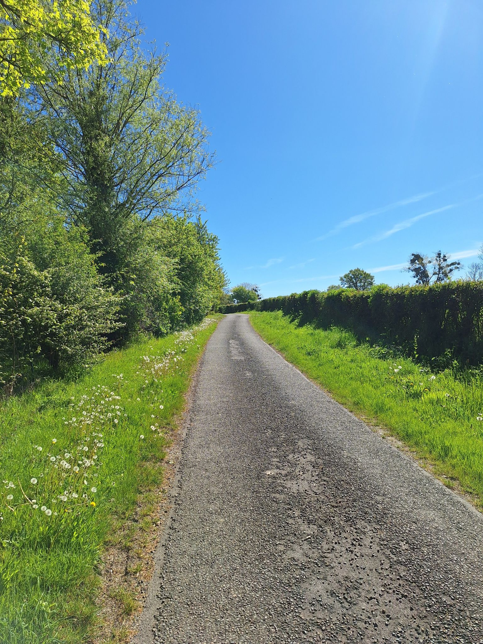 weg rond Maroilles