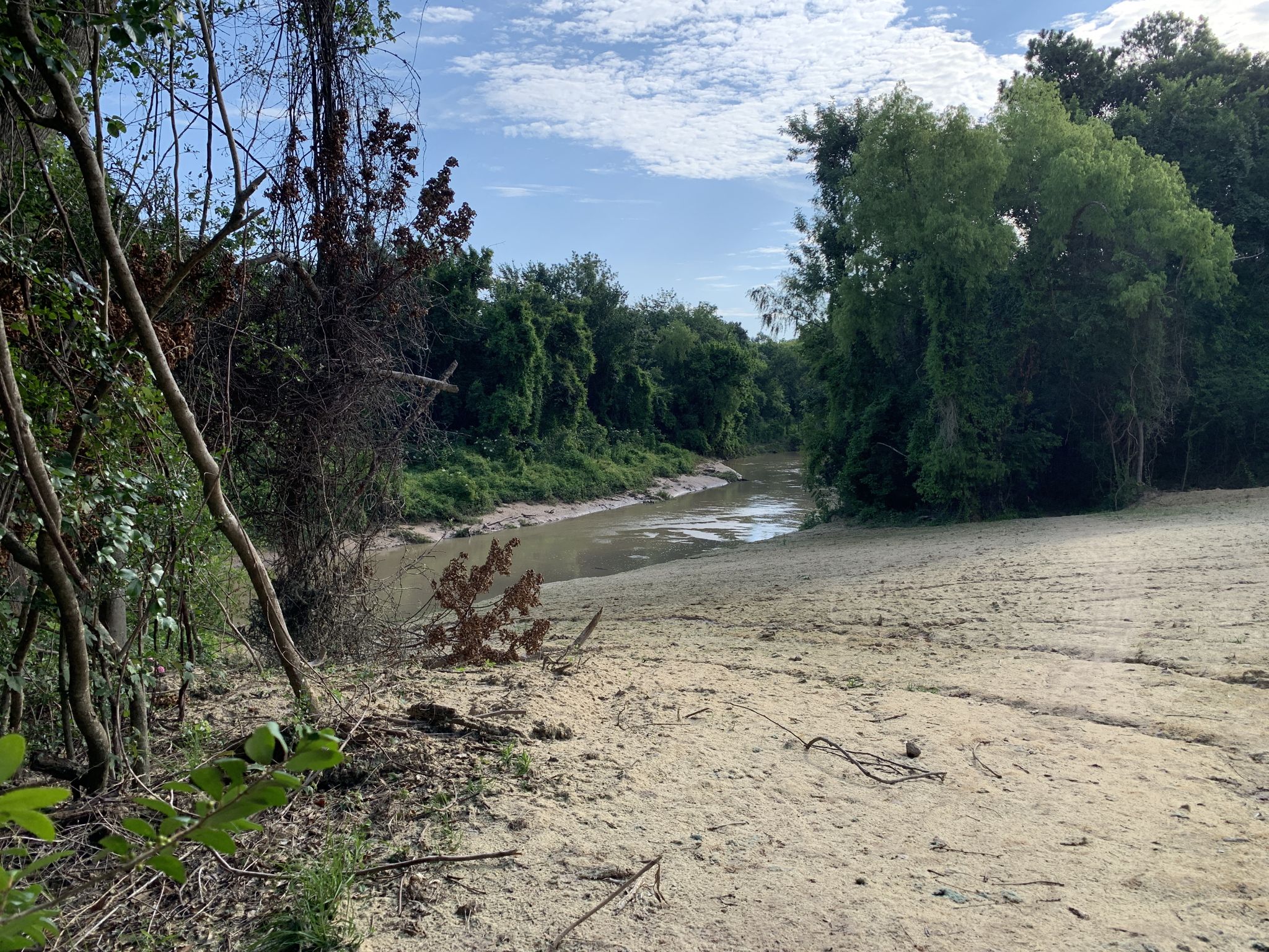 A wide sandy riverbank leads to a murky river surrounded by dense green trees. - Buffalo Bayou – Spectacular View of the Reservoir loop from Alief Early College High School