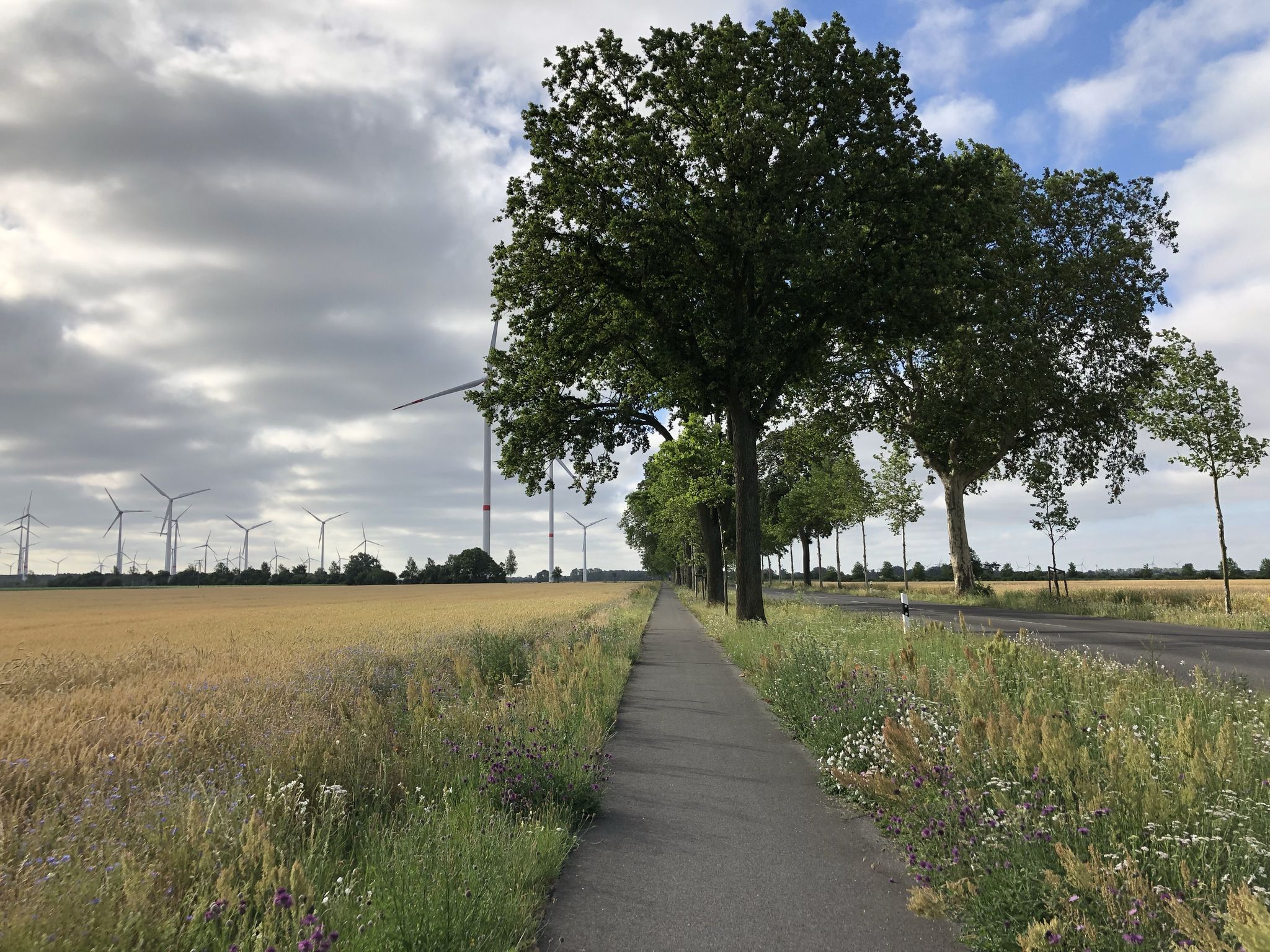 Straße des Friedens ... Richtung Glövzin
