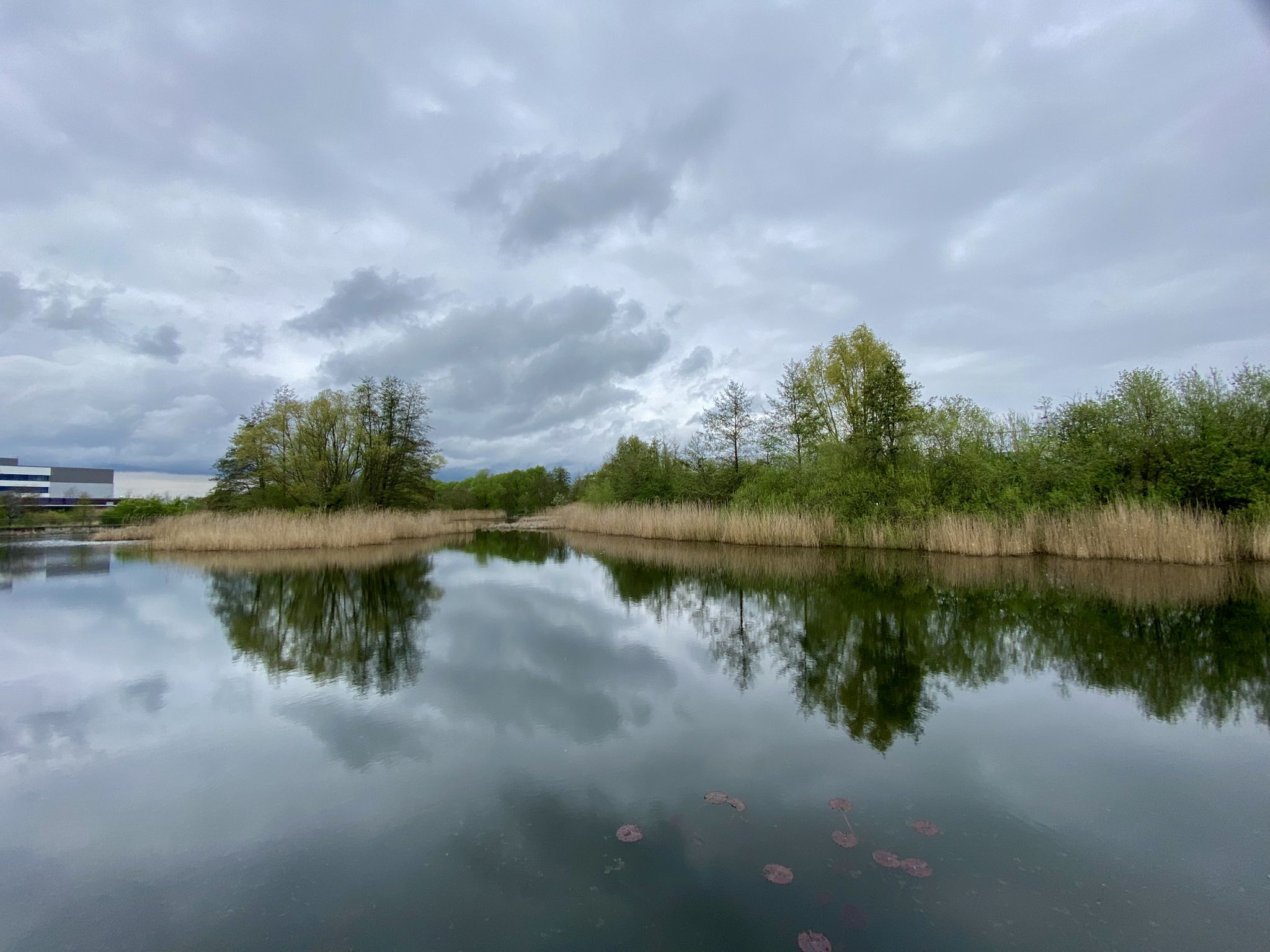 Rähnitzteich