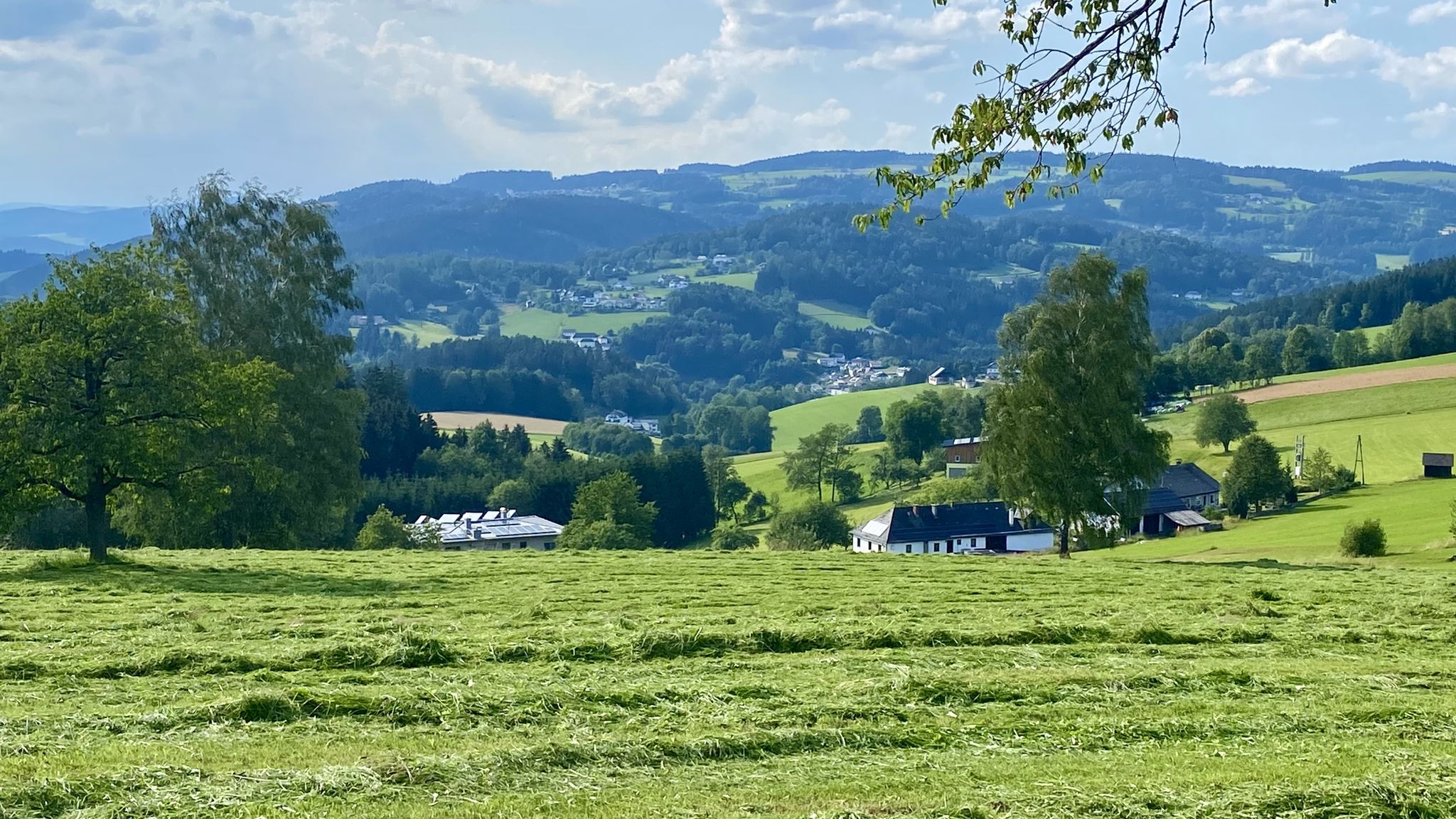 Blick nach Helfenberg