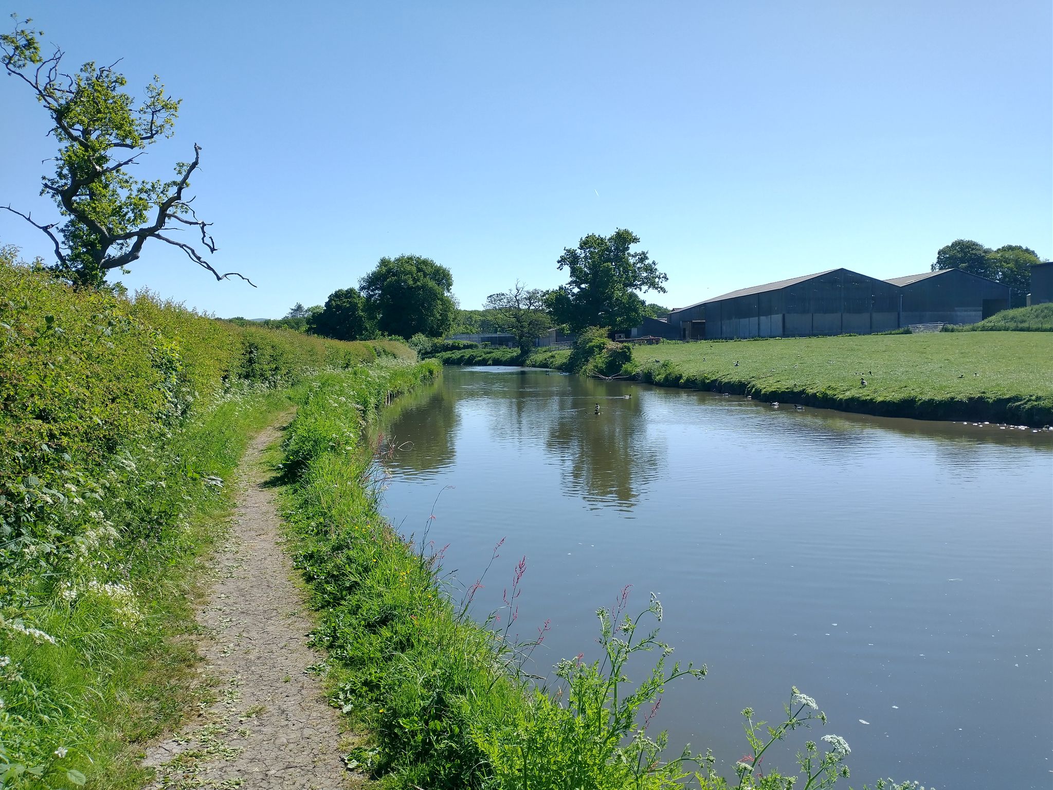 Quite a narrow path from Barton Grange Marina to this point