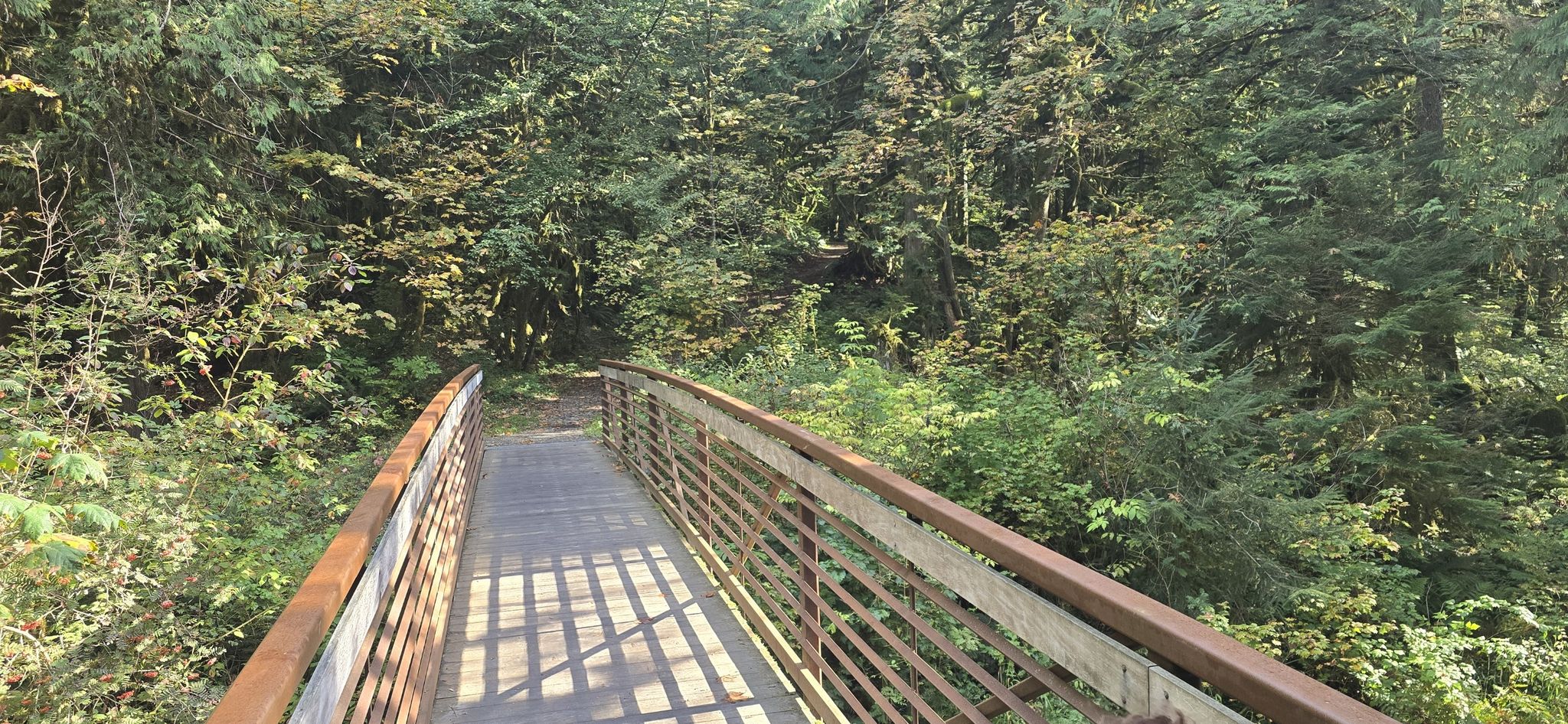 Sunlit wooden bridge with railings leading into a lush green forest. - Maple Creek Loop Trail
