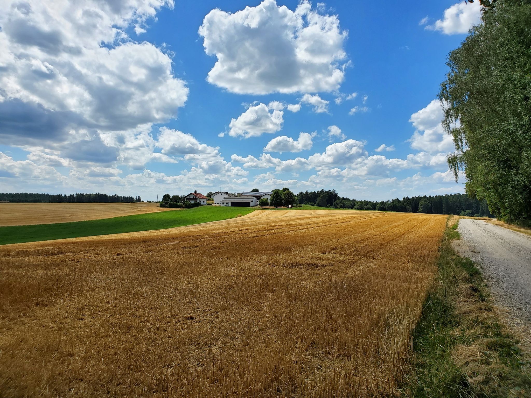 Goldgelbe Stoppelfelder