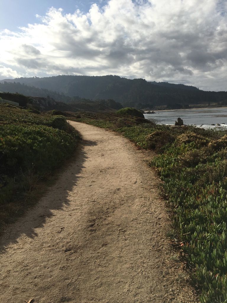 A winding dirt path alongside the ocean with hills under a cloudy sky. - Carmel Meadows Trail