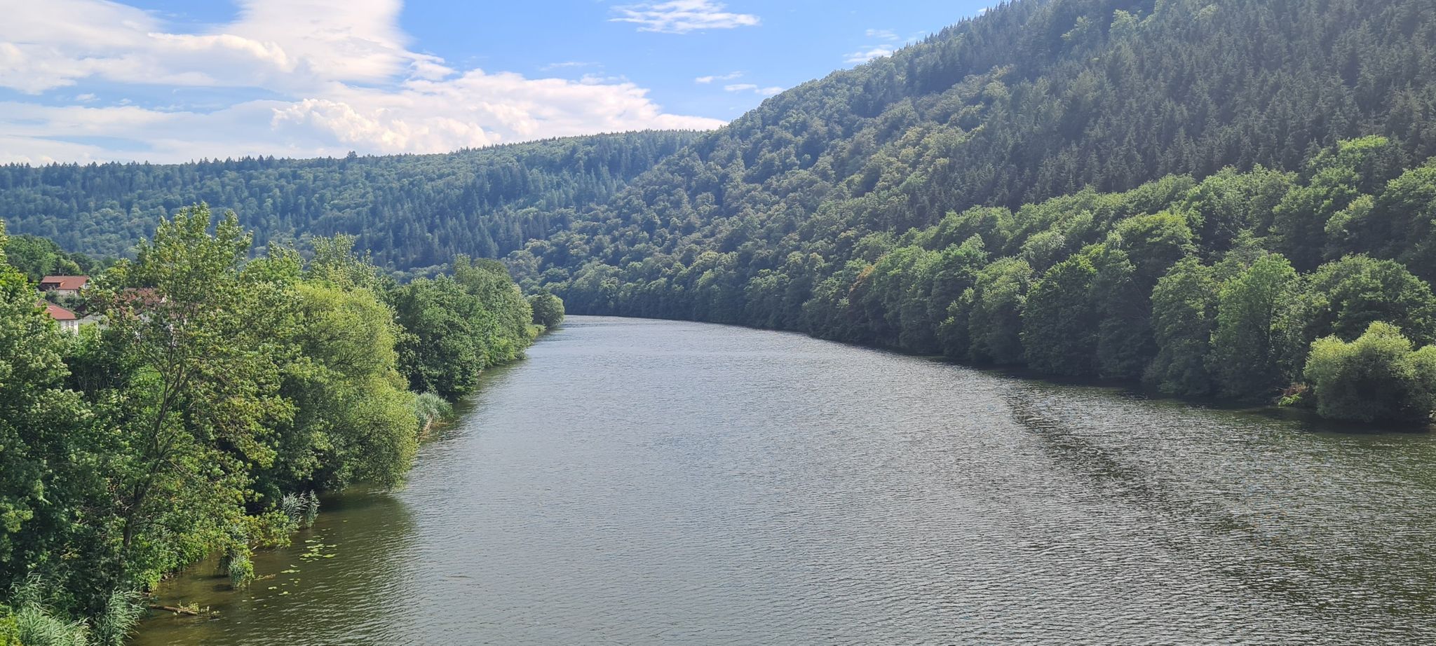 Blick neckaraufwärts von der Zwingenberger Brücke