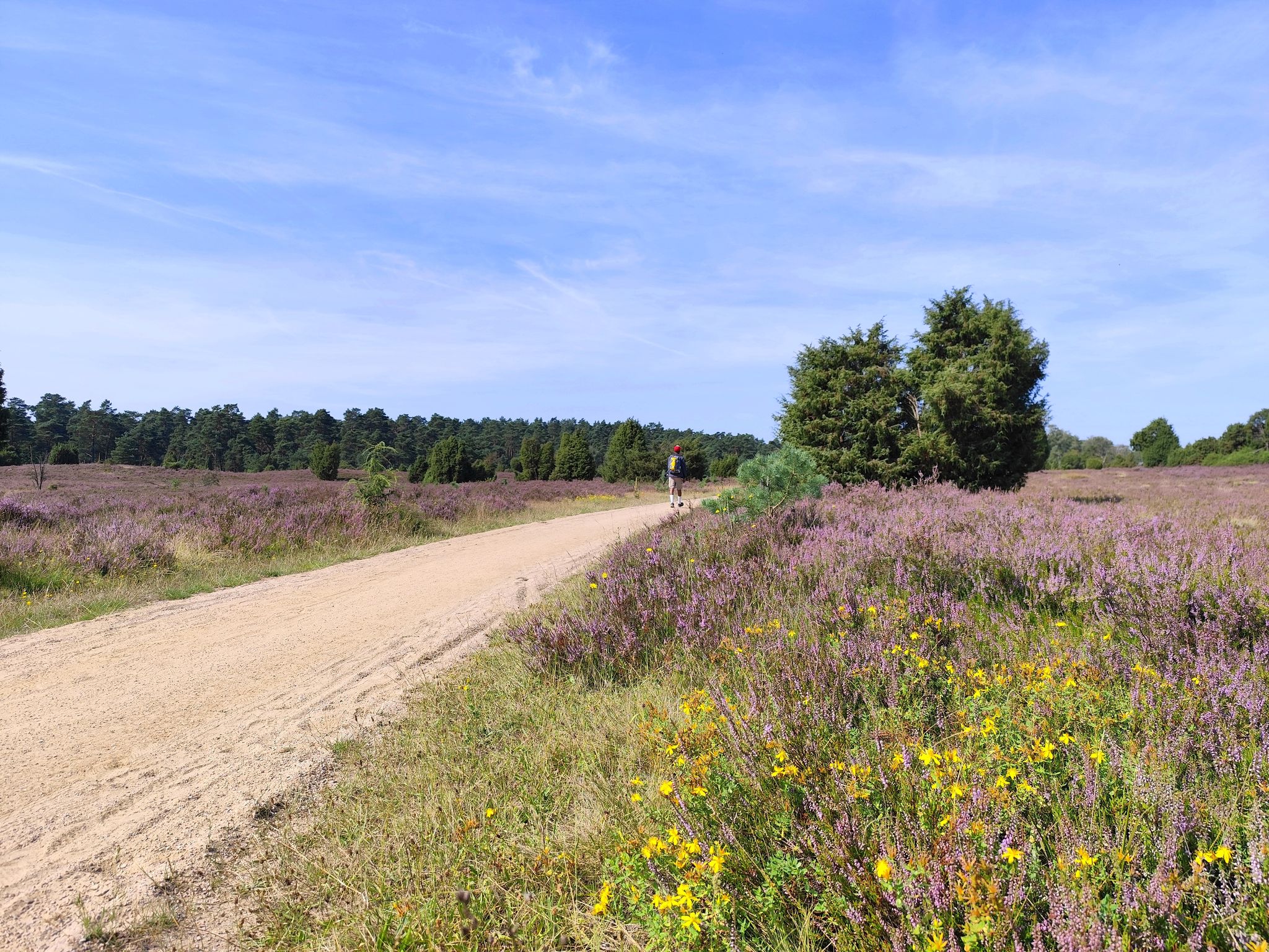 Heidschnuckenweg Etappe 4