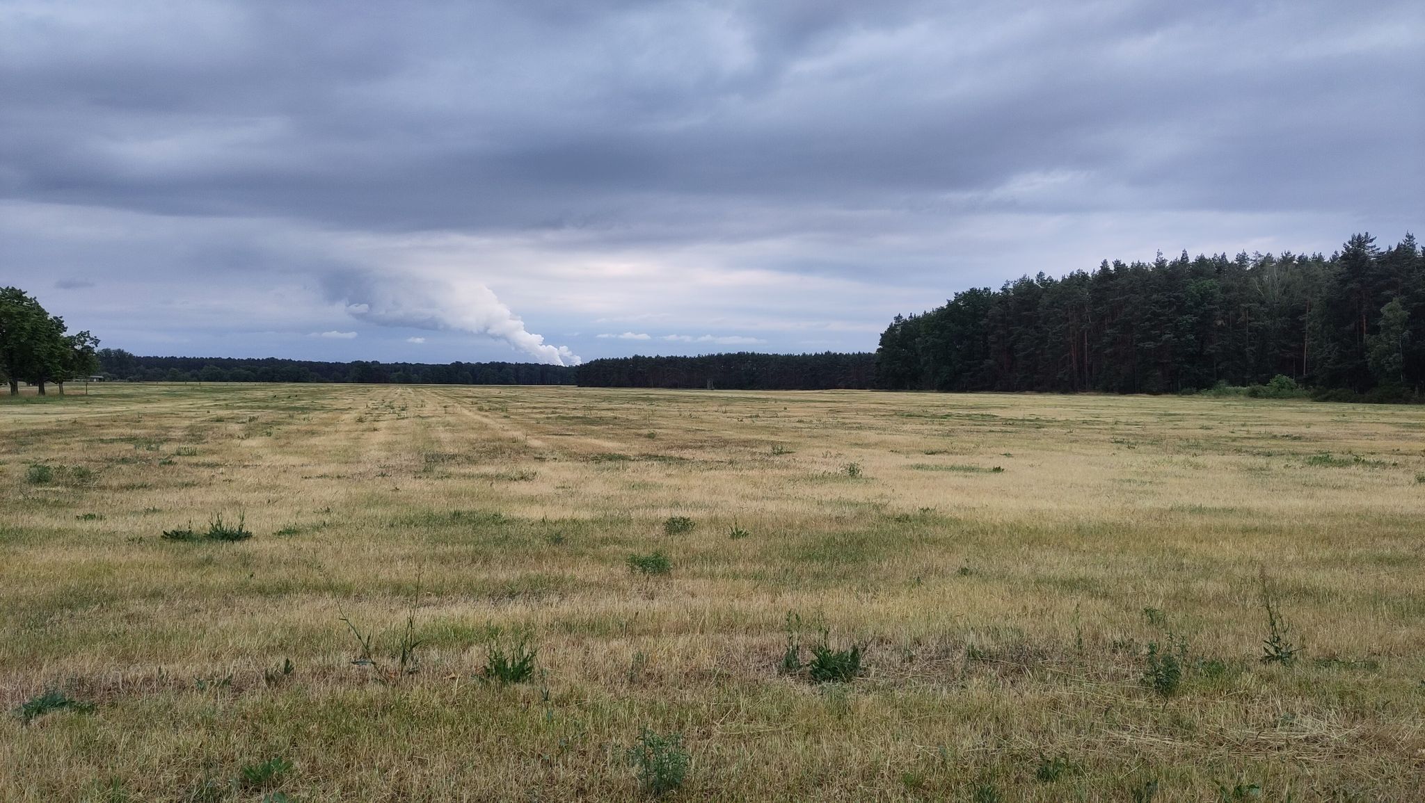 Feld vor Jänitz