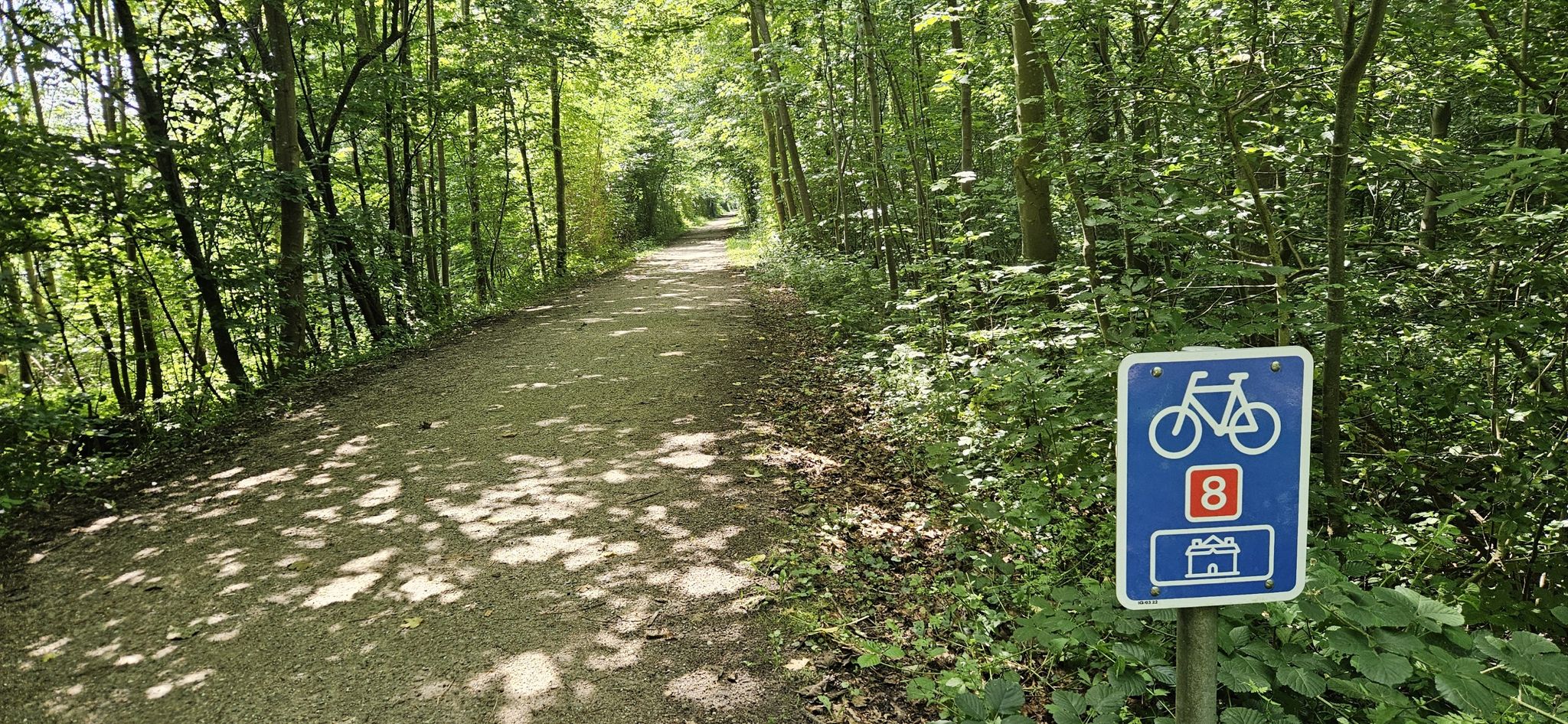 Waldweg
