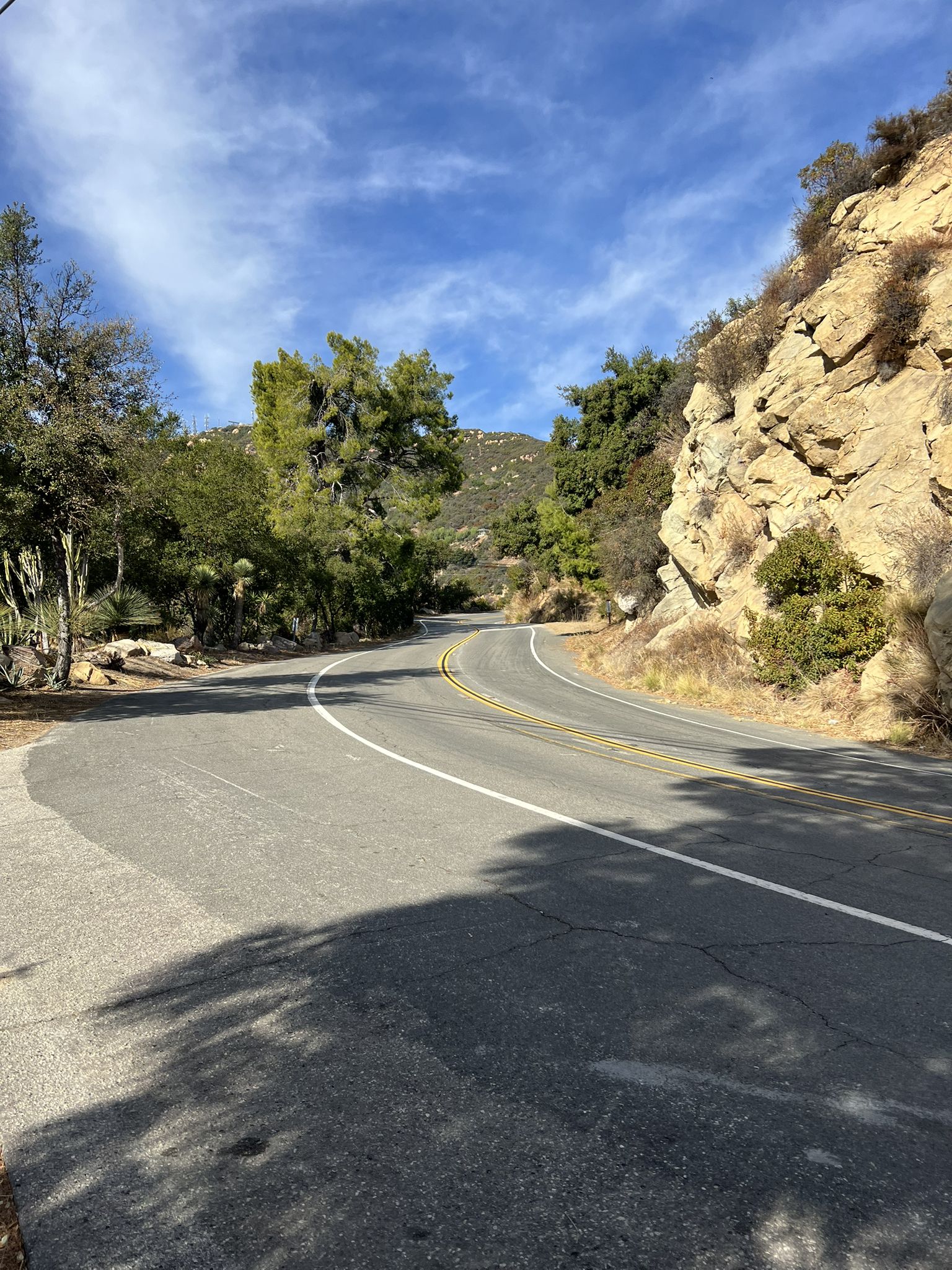 Sunny winding road through a mountainous landscape with rocky cliffs and green trees. - Saddle Peak Loop