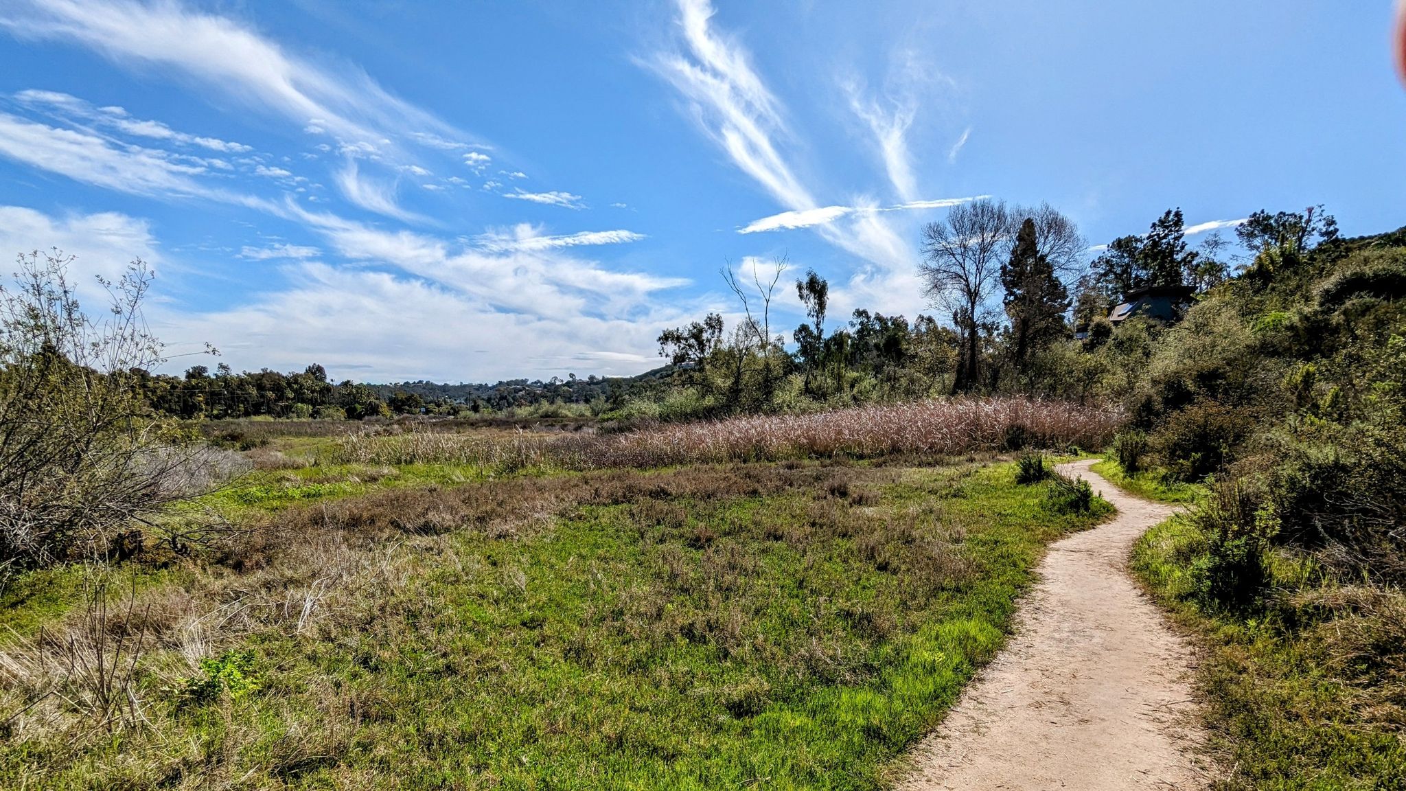 A dirt path winds through a green, grassy field under a bright blue sky. - Annie's Canyon via La Orilla Trail