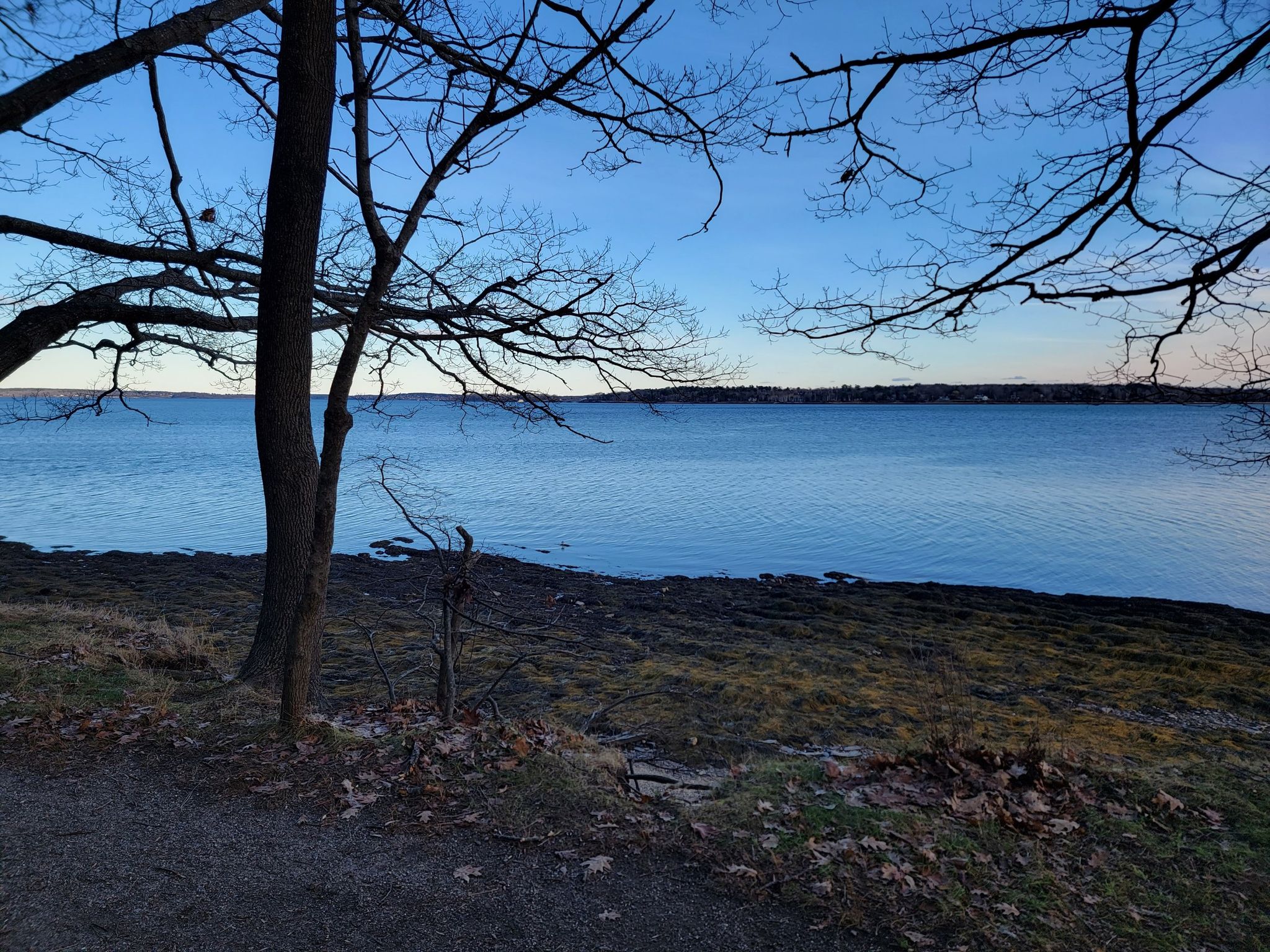view from the swing