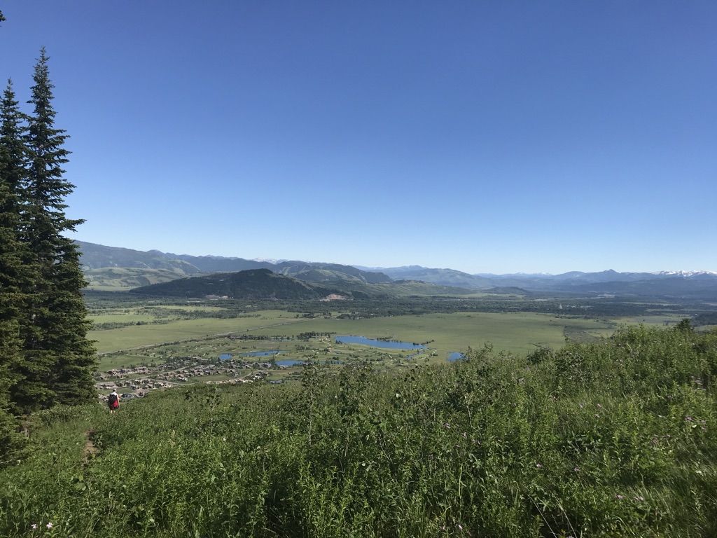 Panoramic view of a green valley, lakes, and mountains under a clear sky. - Wildflower Trail