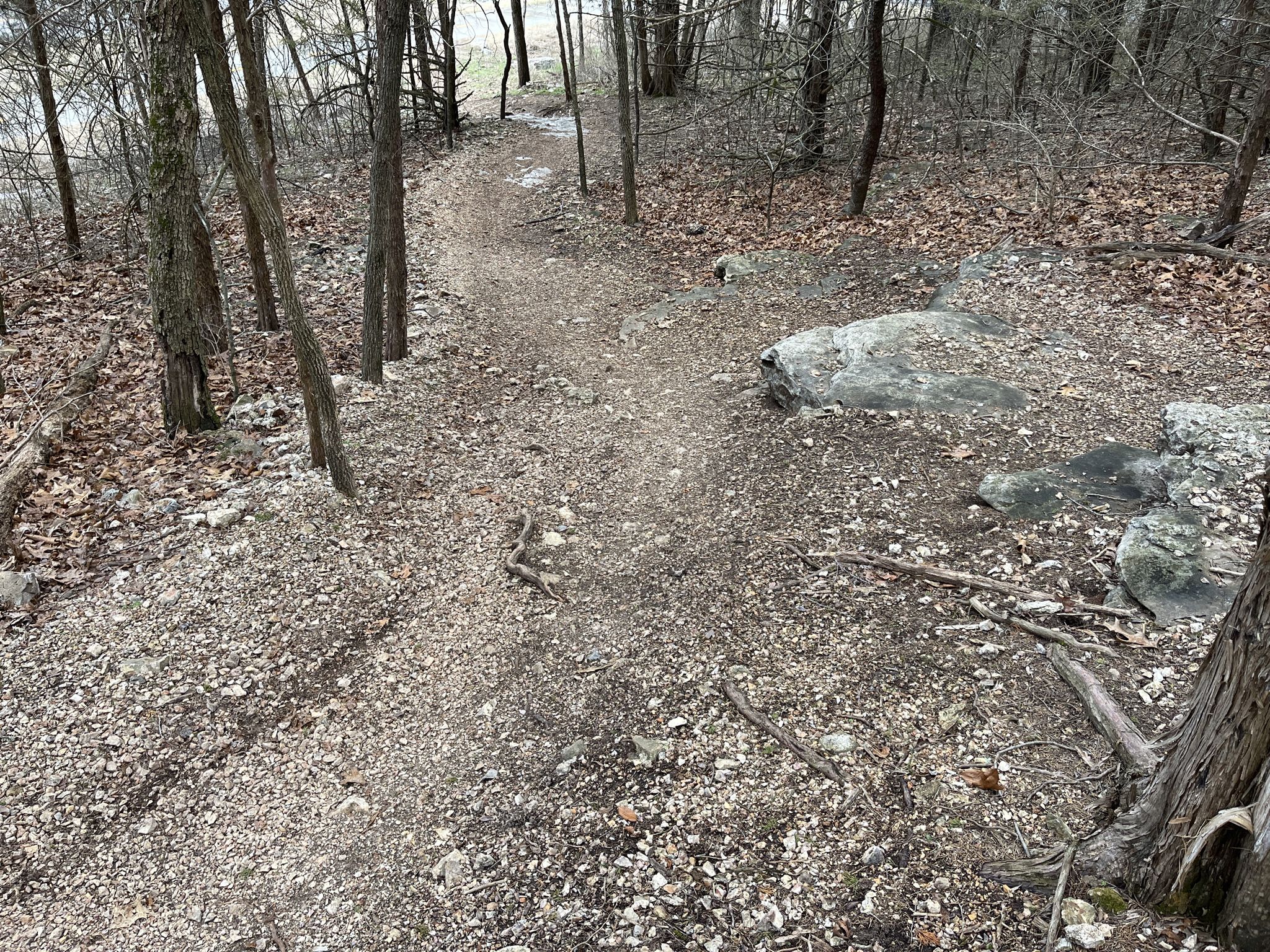 Rocky dirt path winding through a bare winter forest. - Blowing Springs Trails – The Gear Garden loop from Veterans Memorial