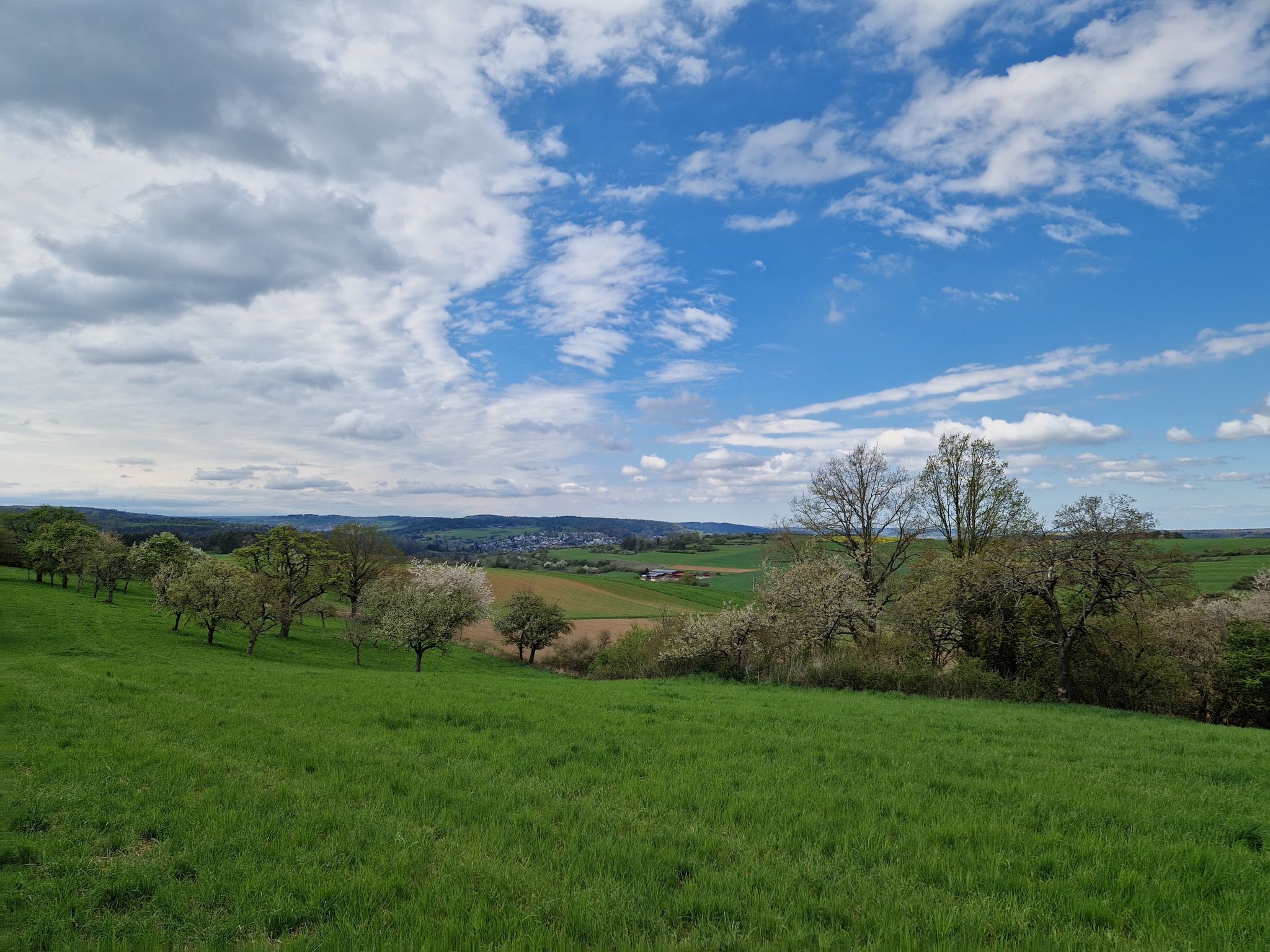 Blick Richtung Weil der Stadt