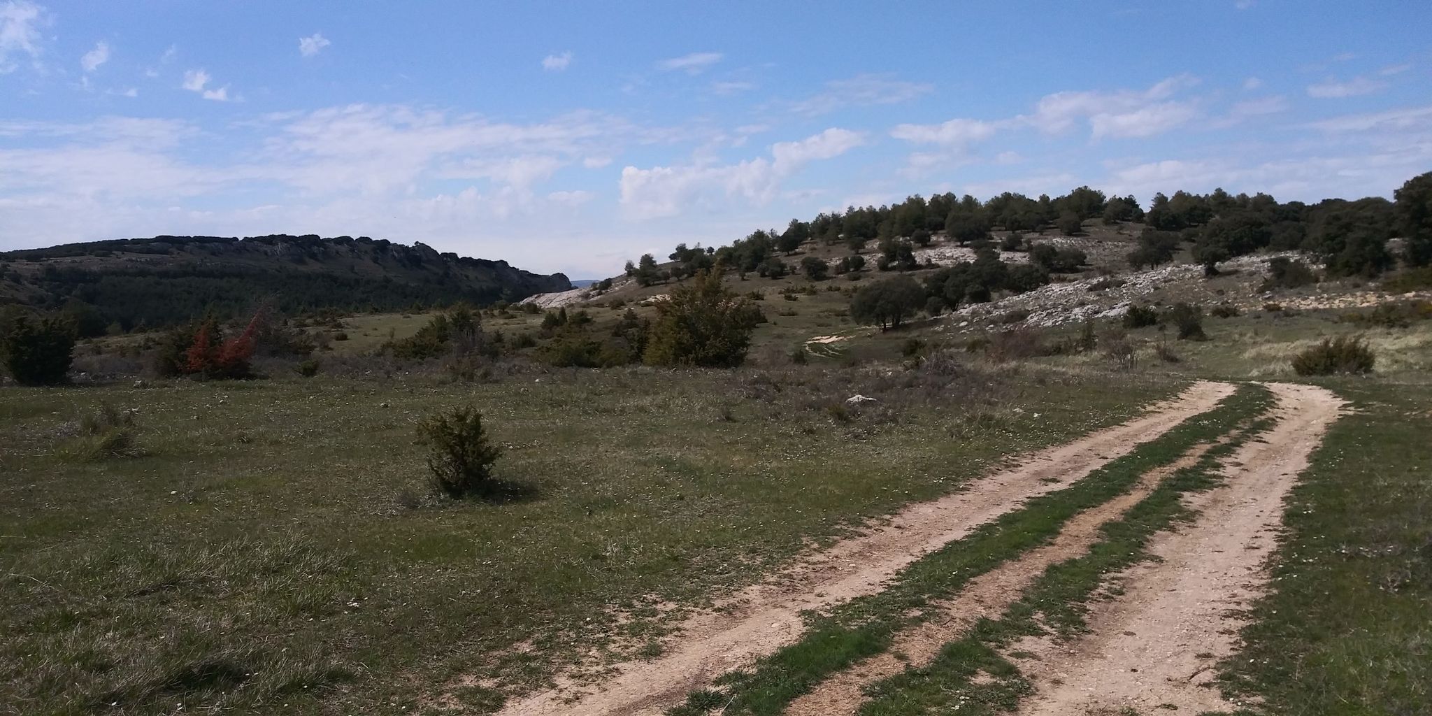 this is good.. some single track nearby?