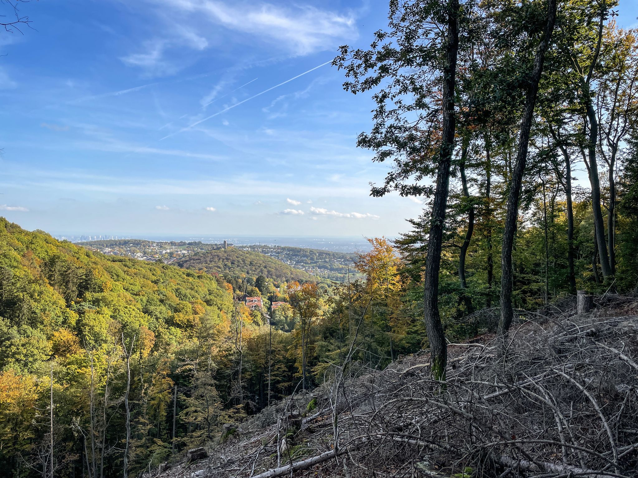 –mit grandiosem Ausblick auf Falkenstein und FFM