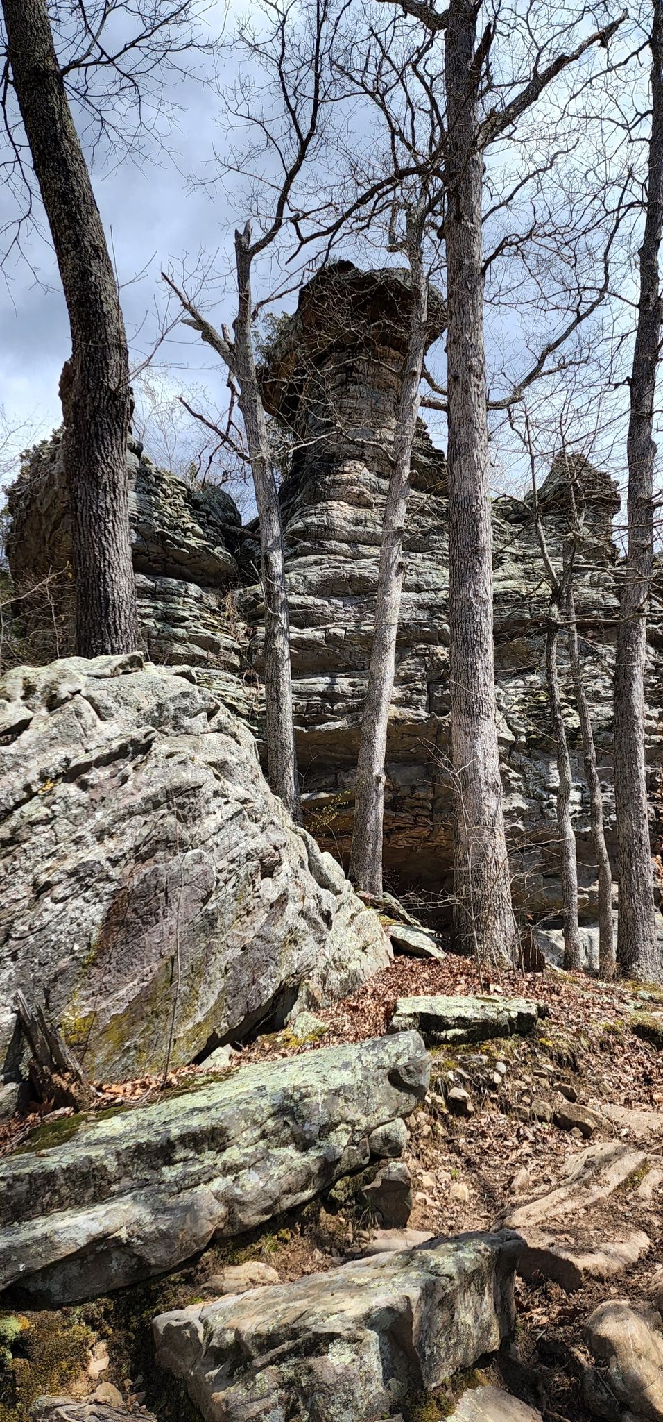 Towering rock formations and bare trees under a bright sky in a forest. - Garden of the Gods Loop
