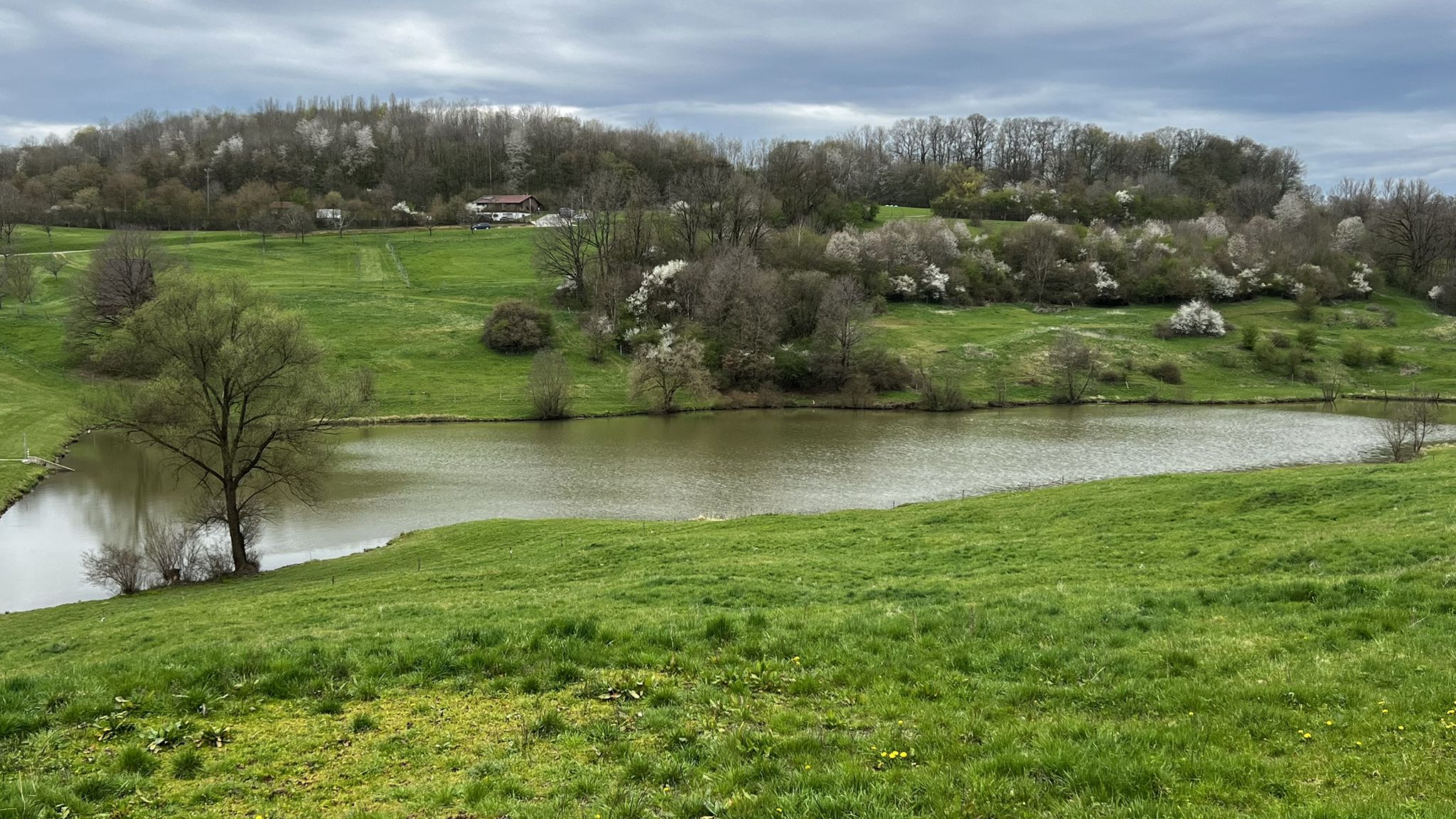 Am Federbachstausee