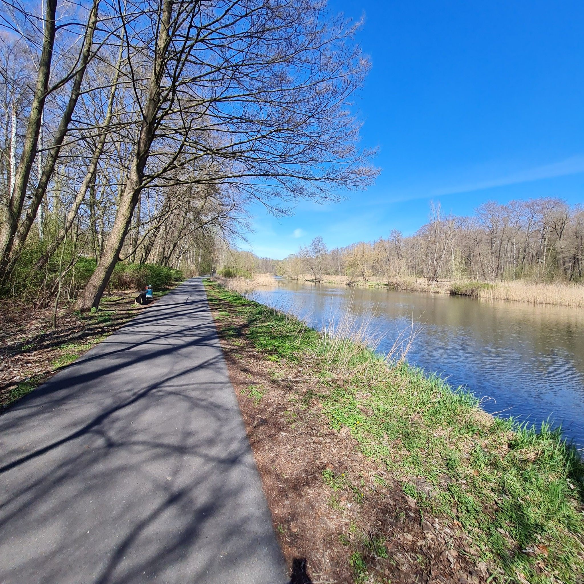 Entlang am Finowkanal (3)