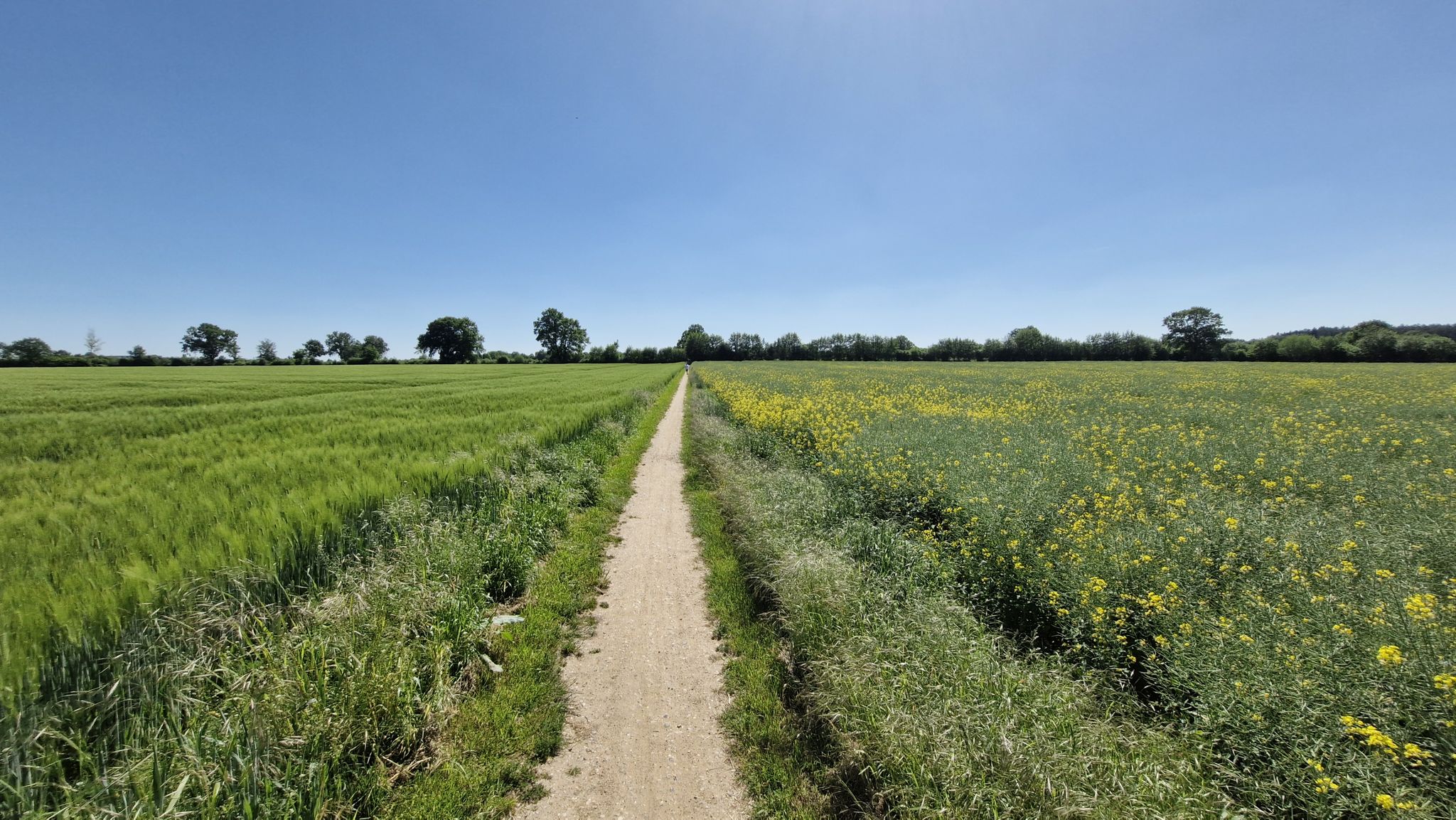 ....auf dem Rosenrotweg zwischen Sbek & Grove