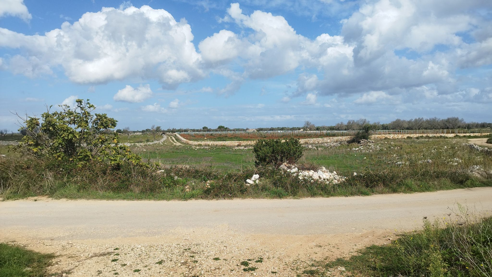 Laccu de lu capraru