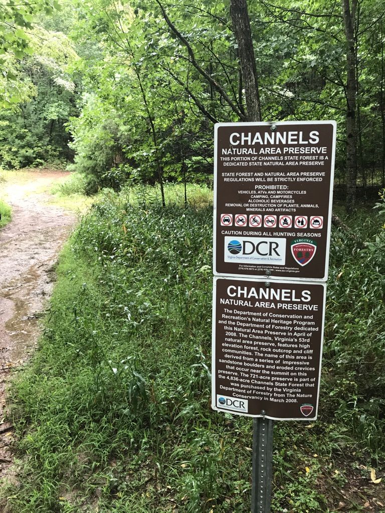 Two brown informational signs stand beside a grassy path in a forest. - Middle Knob loop from Hayters Gap