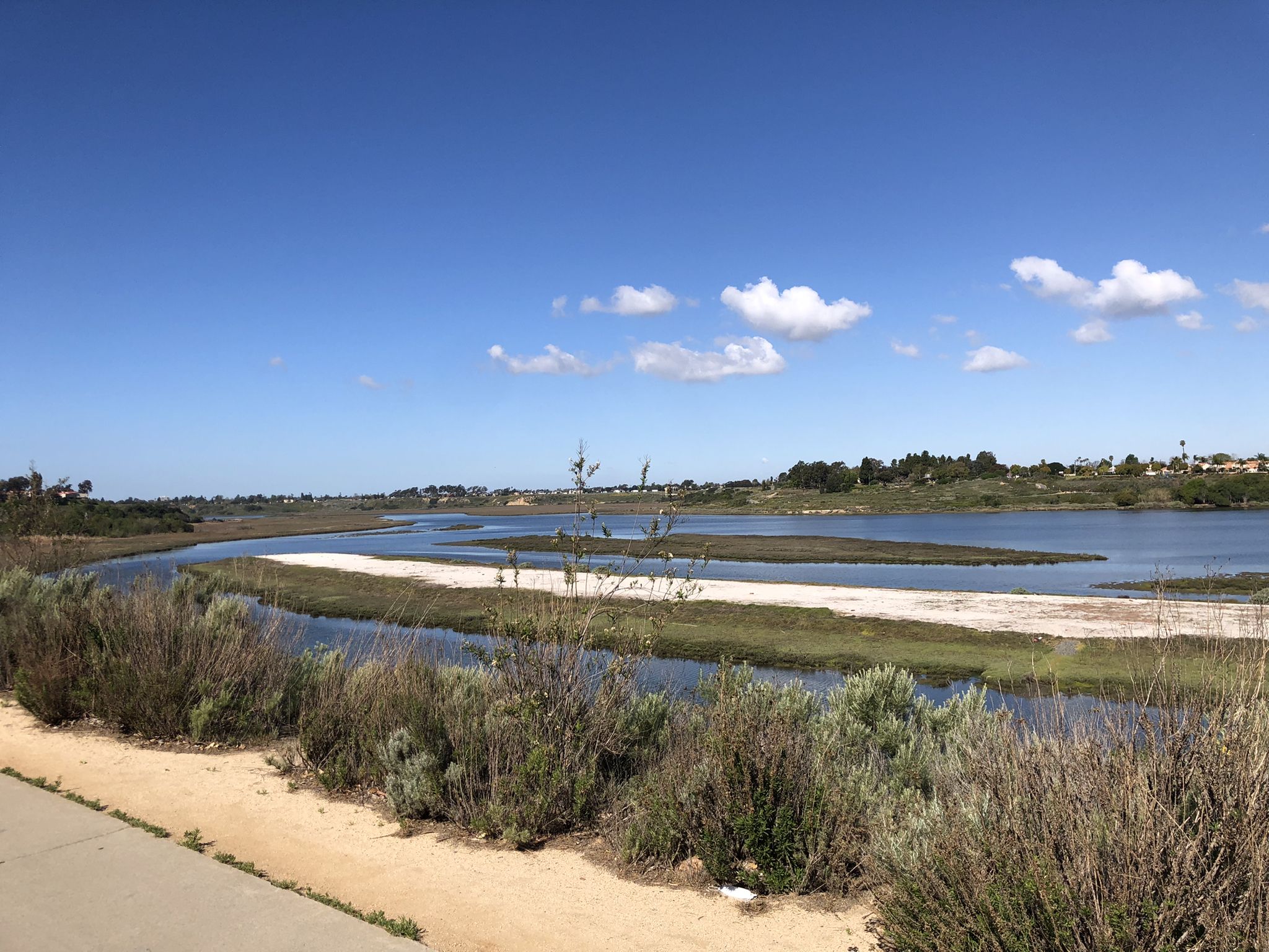 Serene wetland with water channels, green marsh, and a dirt path under blue sky. - Back Bay Loop Trail