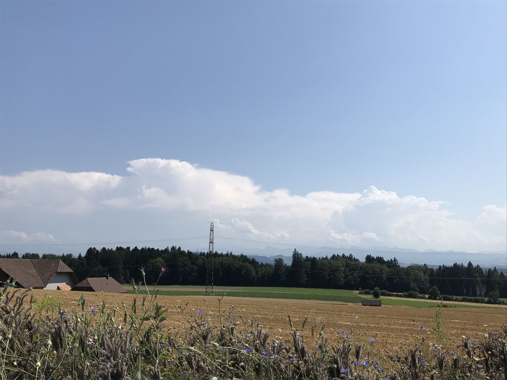 Blick zu den alpen