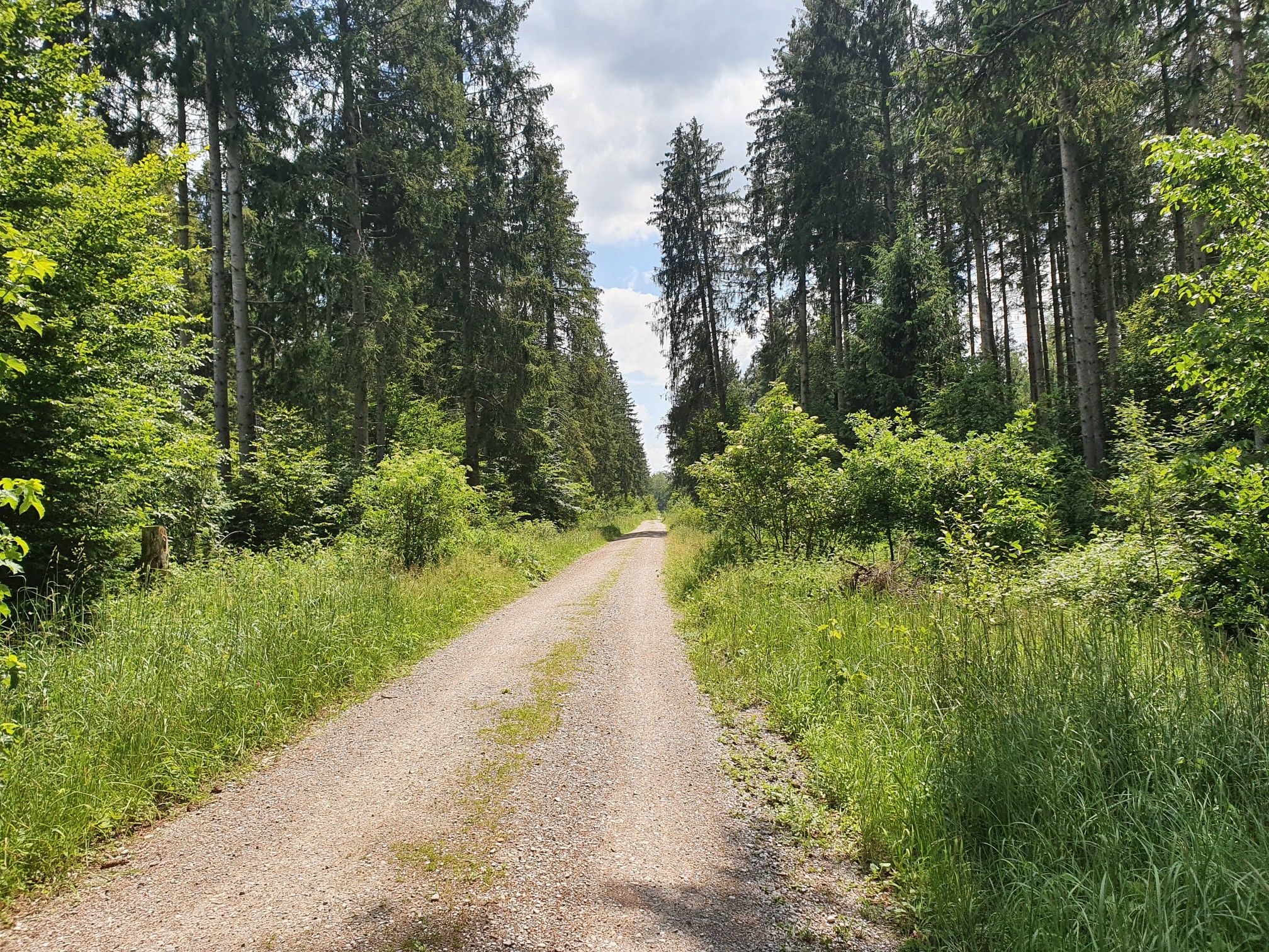 Haupt geräumt