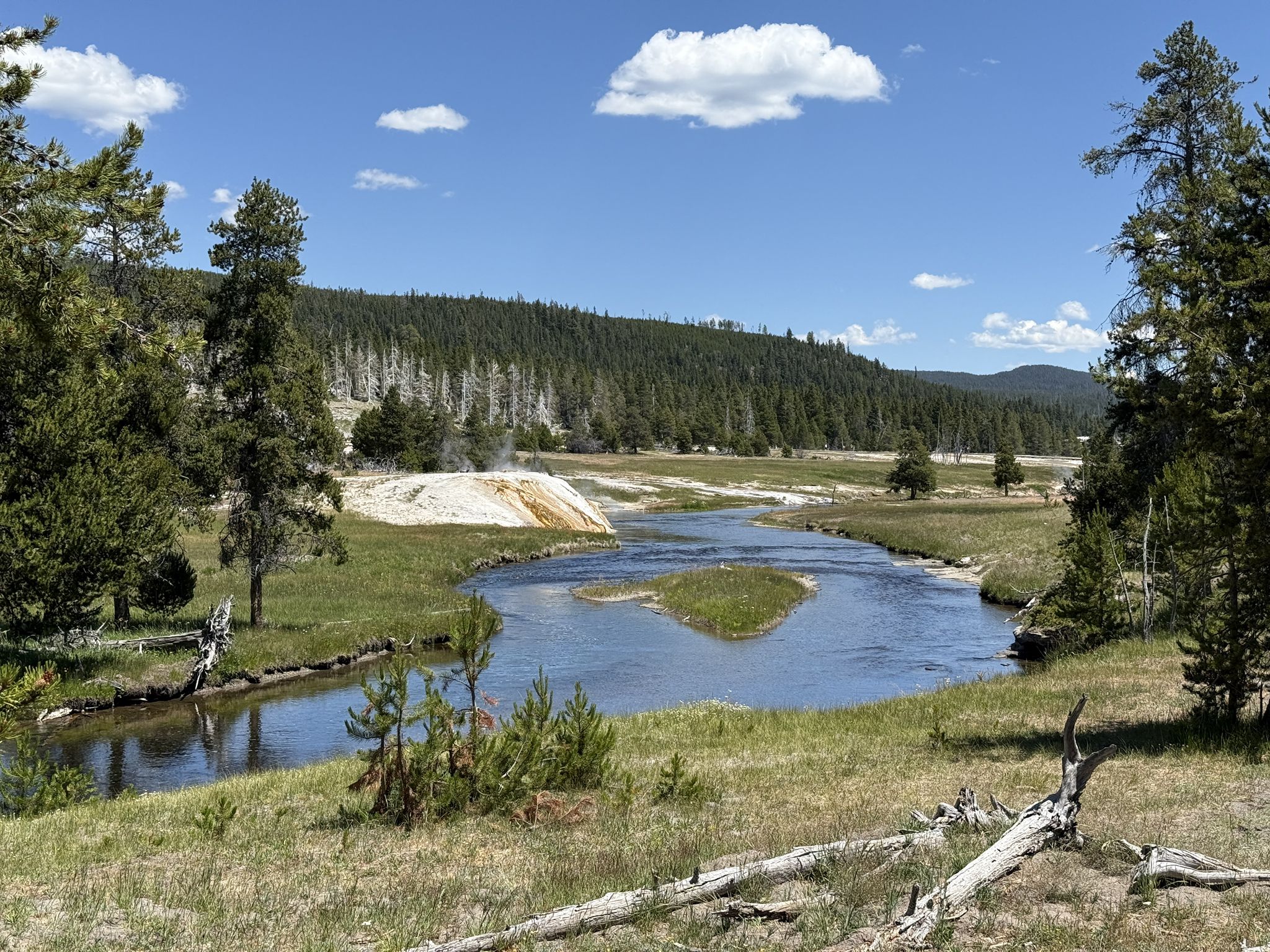 A winding river with an island flows through a green meadow under a blue sky. - Old Faithful Geyser – Morning Glory Pool loop from Old Faithful Inn